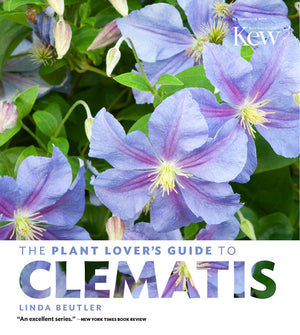 The Plant Lover'S Guide To Clematis (The Plant Lovers Guides)