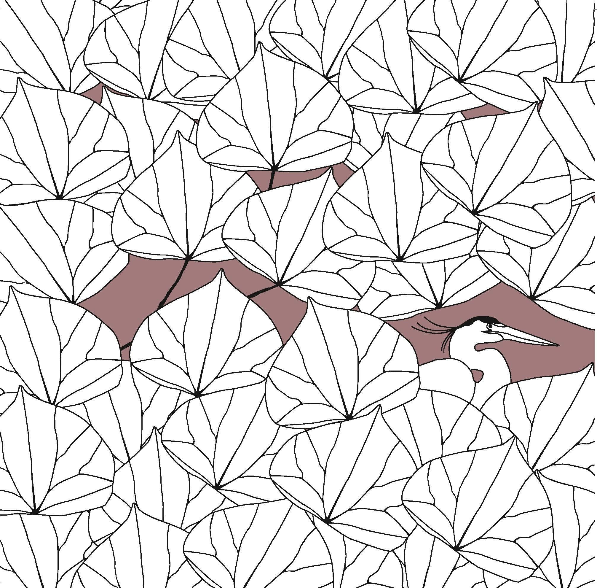 Magic Garden: Color, Dream, Create,New