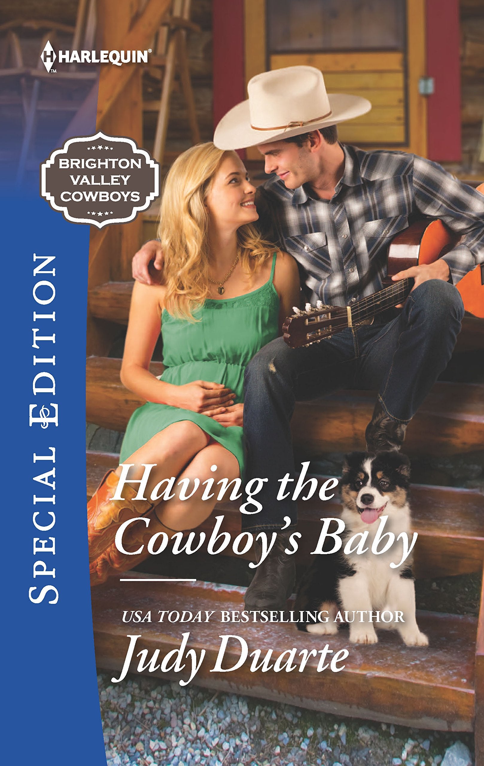 Having the Cowboy's Baby (Brighton Valley Cowboys),Used