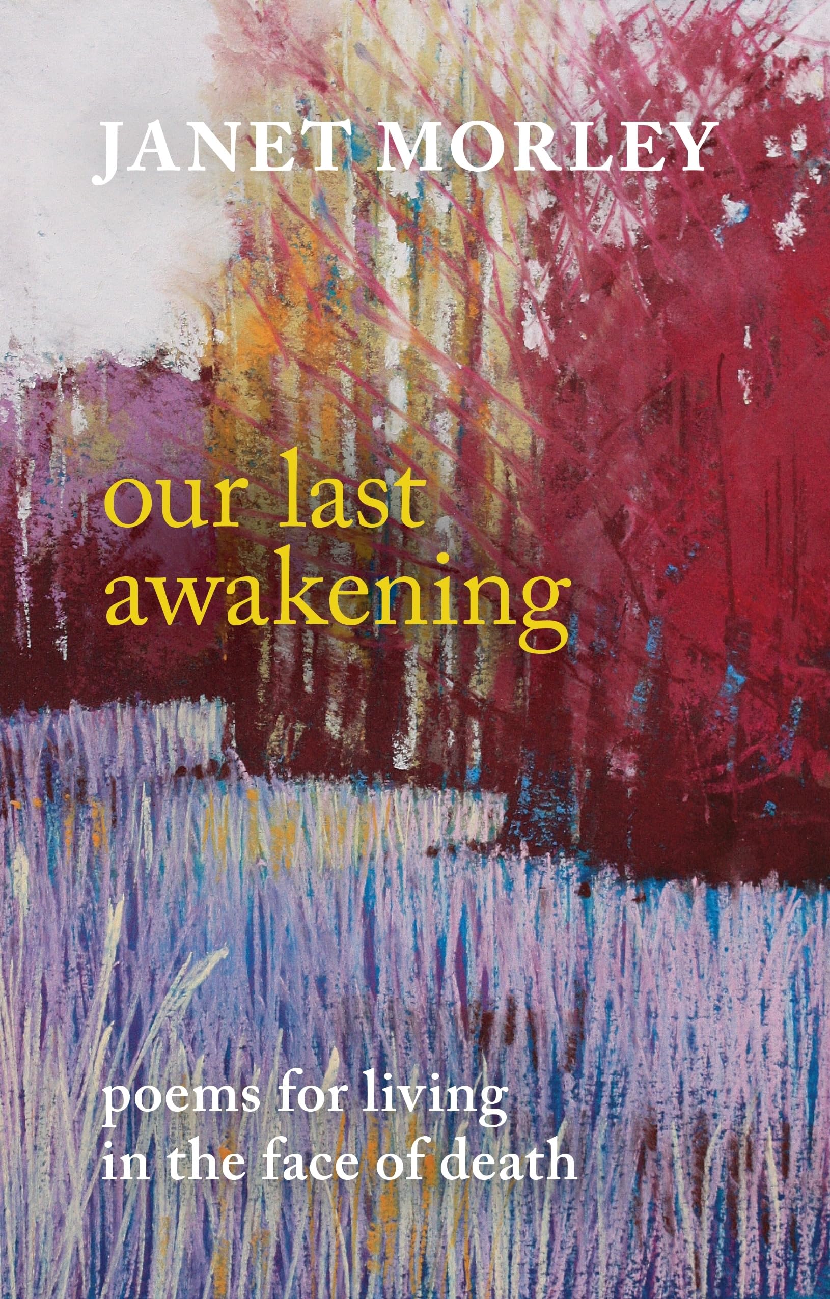 Our Last Awakening: Poems For Living In The Face Of Death,Used