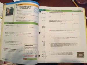 Glencoe Math, Course 2, Student Edition, Volume 2 (Math Applic & Conn Crse)-new