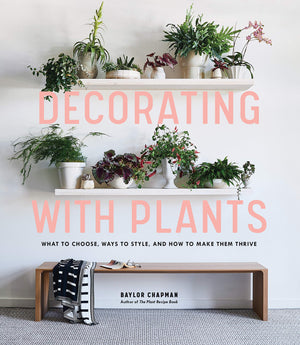 Decorating With Plants: What To Choose, Ways To Style, And How To Make Them Thrive