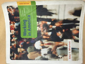 Working in America: Continuity, Conflict, and Change,New