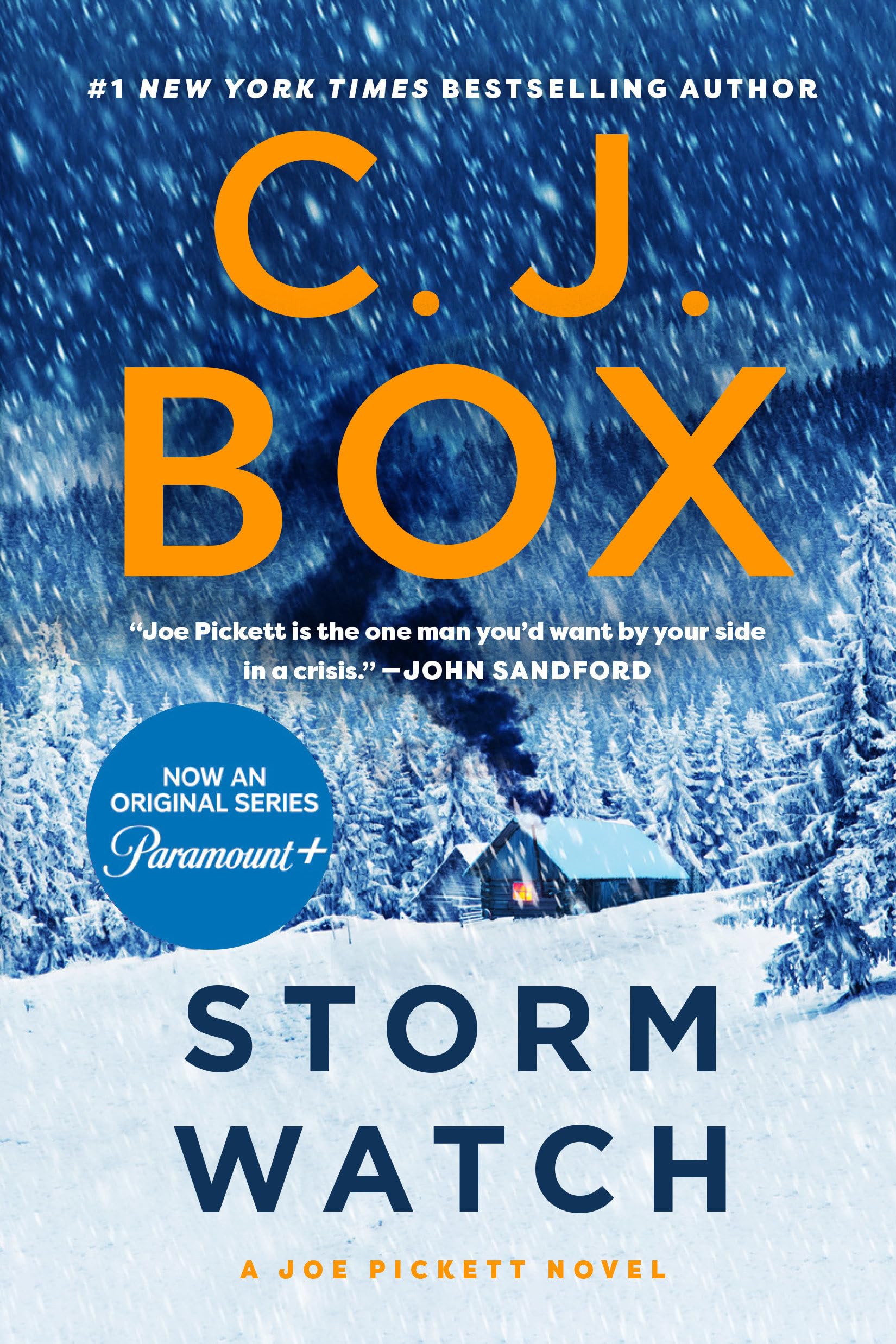 Storm Watch (A Joe Pickett Novel),Used