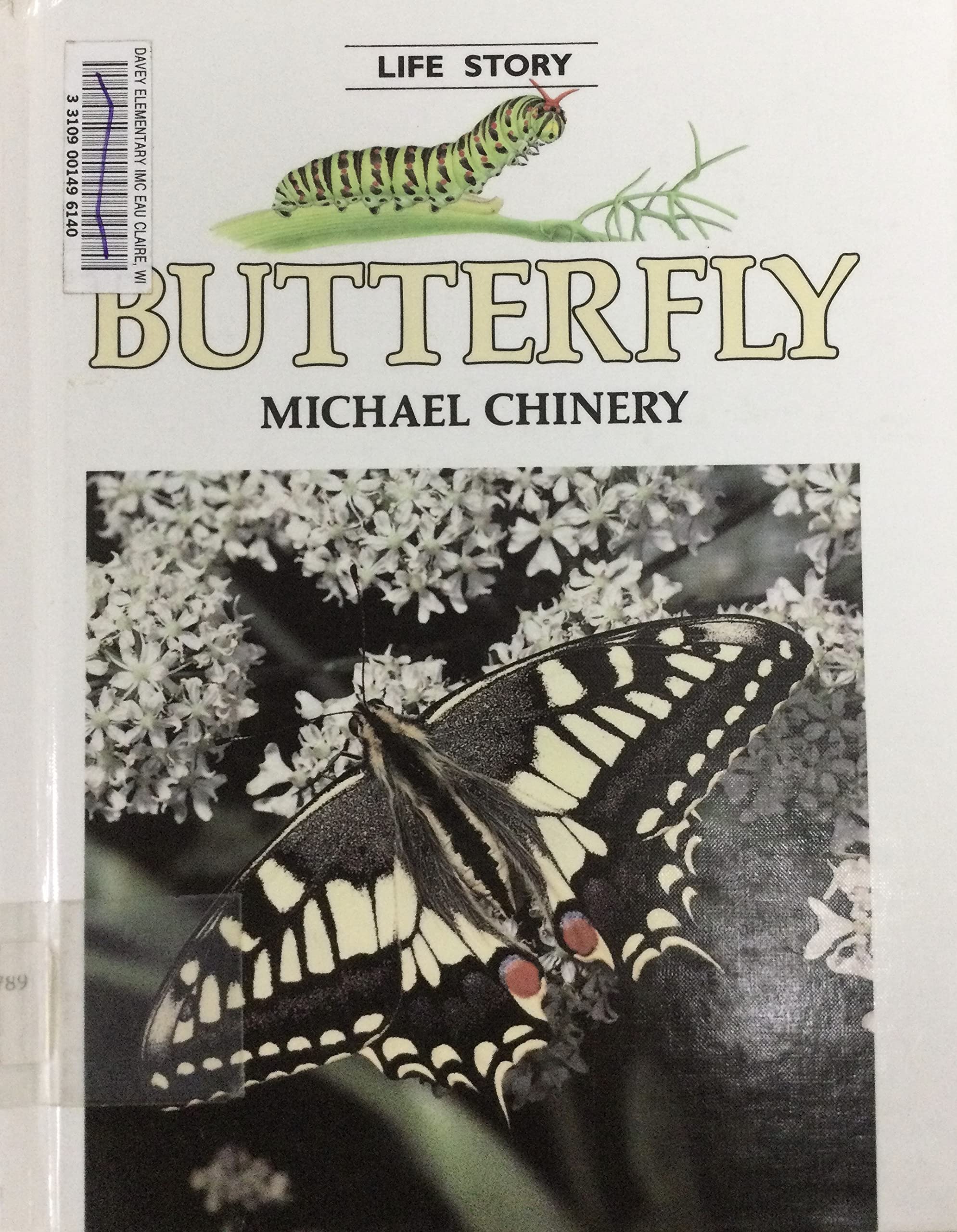 Butterfly (LIFE STORY),Used