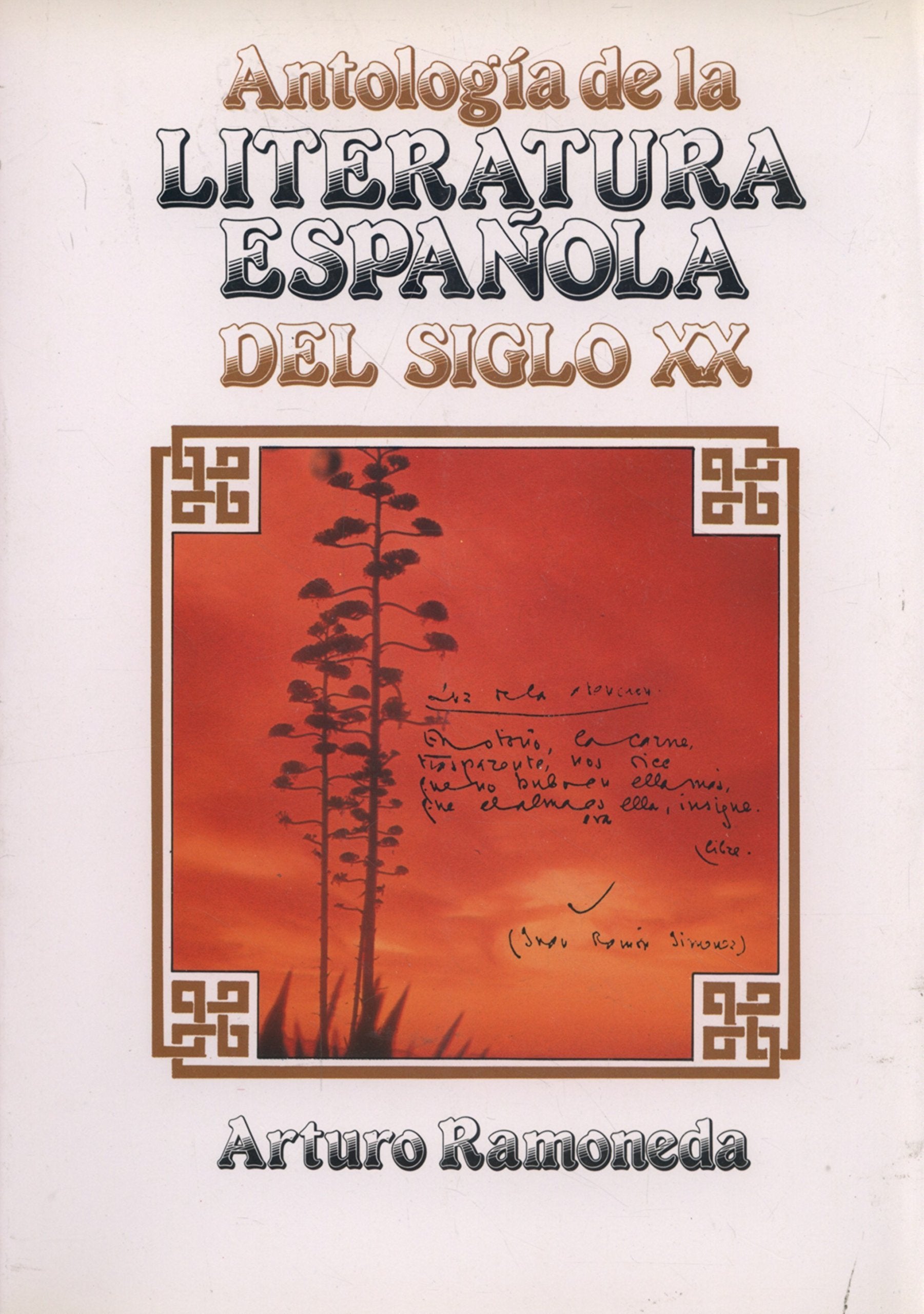 Antologa literatura espaola siglo XX,Used