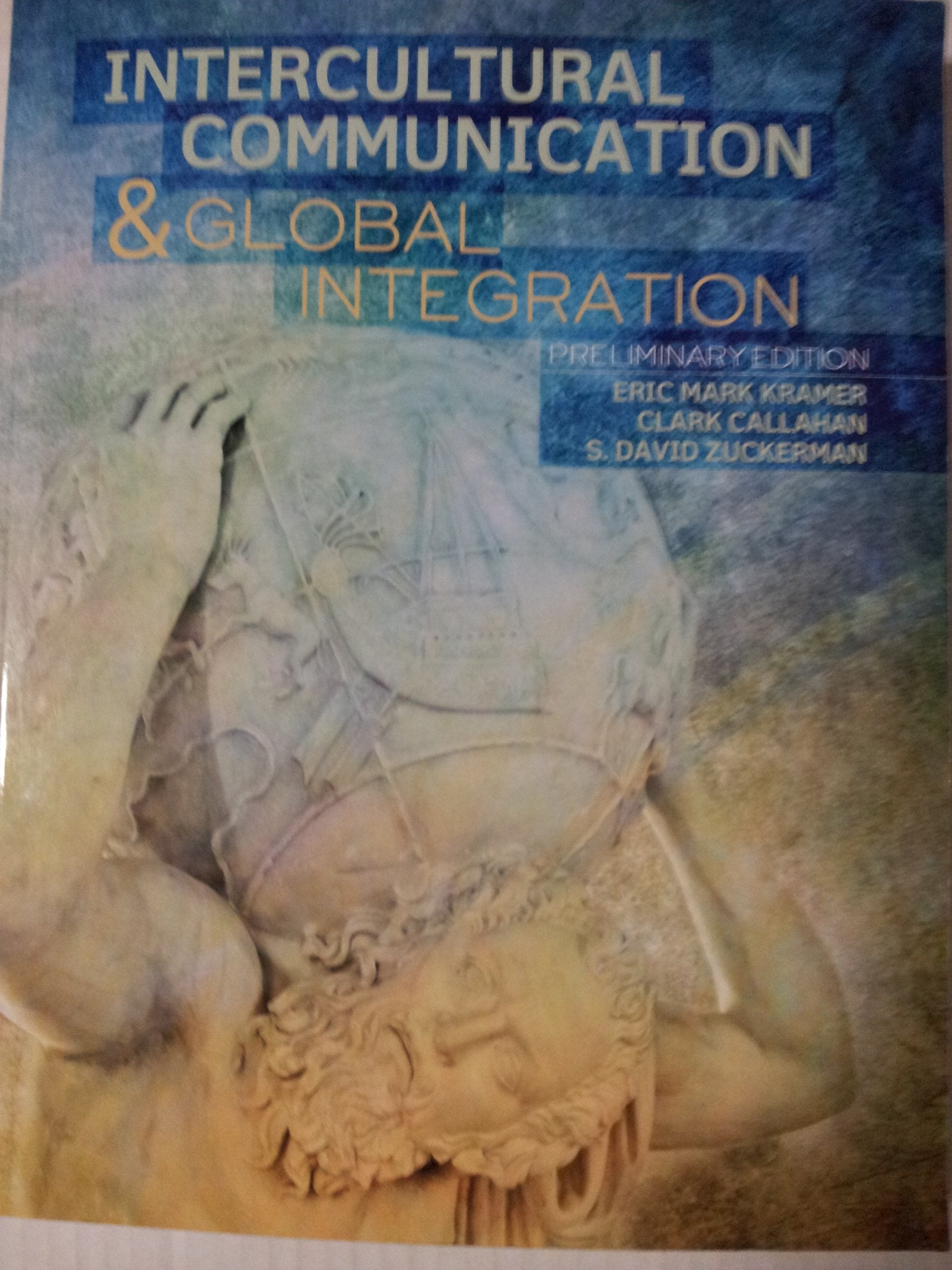 Intercultural Communication and Global Integration,Used