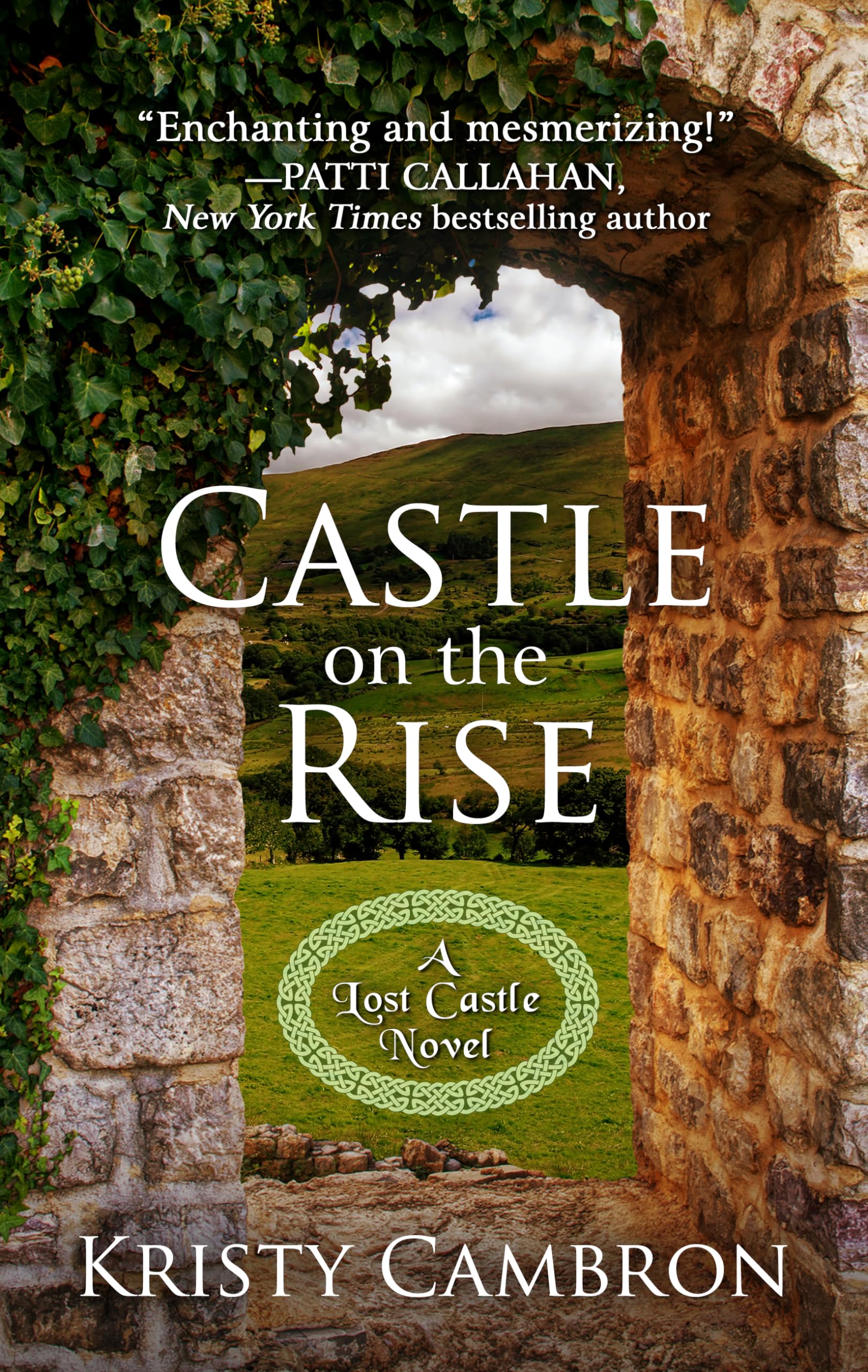 Castle on the Rise (A Lost Castle Novel),Used