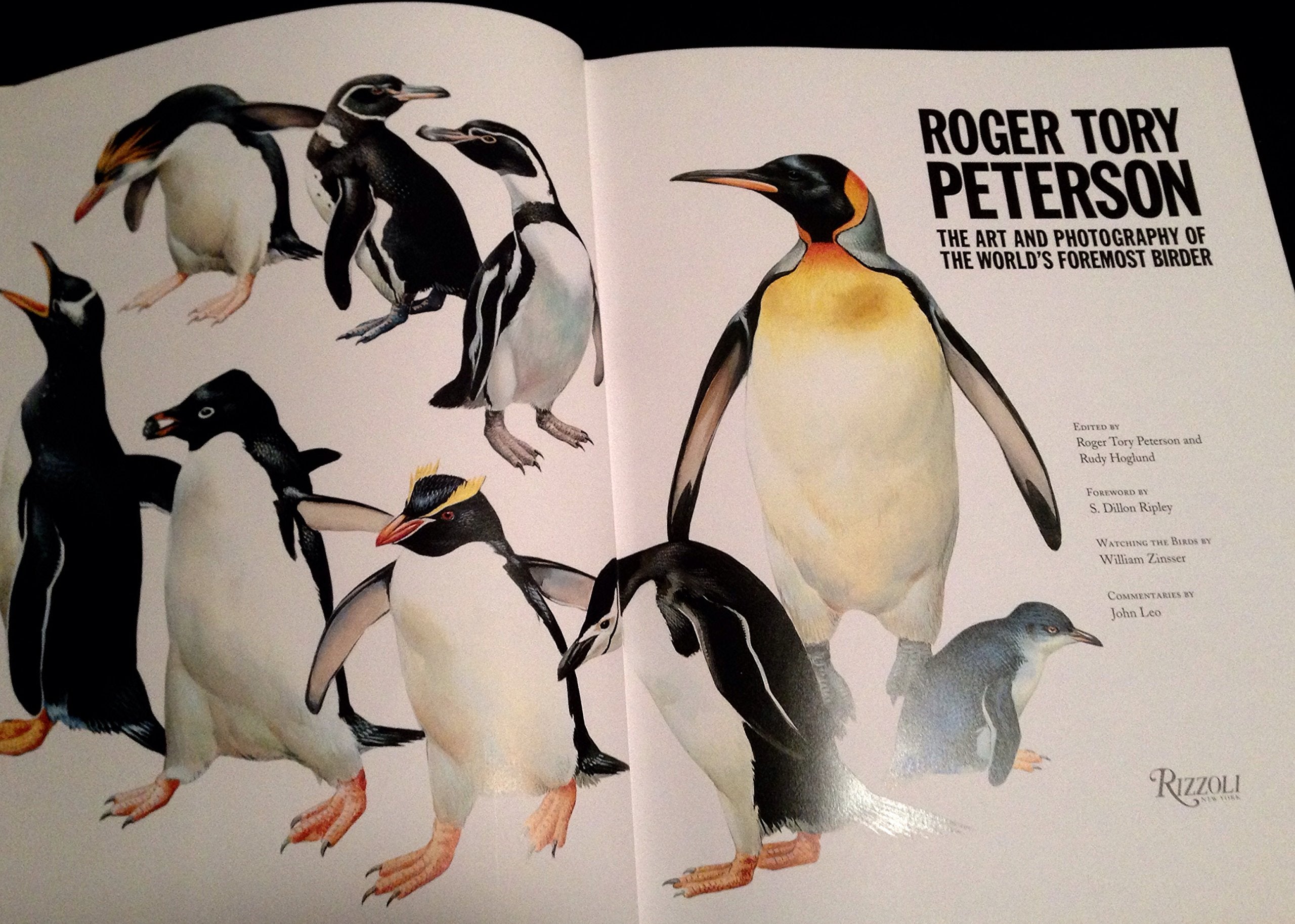 Roger Tory Peterson: The Art and Photography of the World's Foremost Birder,Used