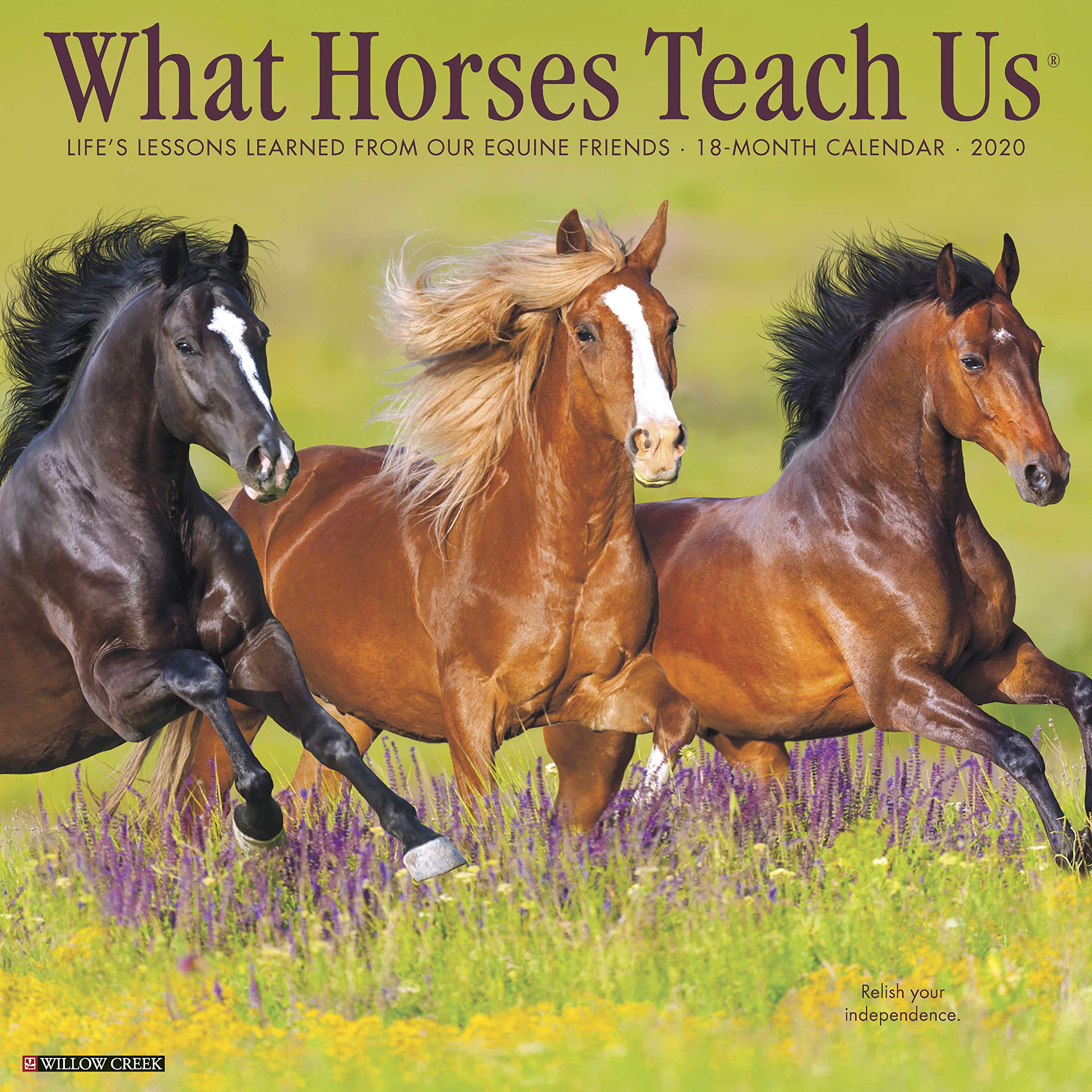 What Horses Teach Us 2020 Wall Calendar,New