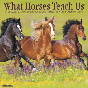 What Horses Teach Us 2020 Wall Calendar,New