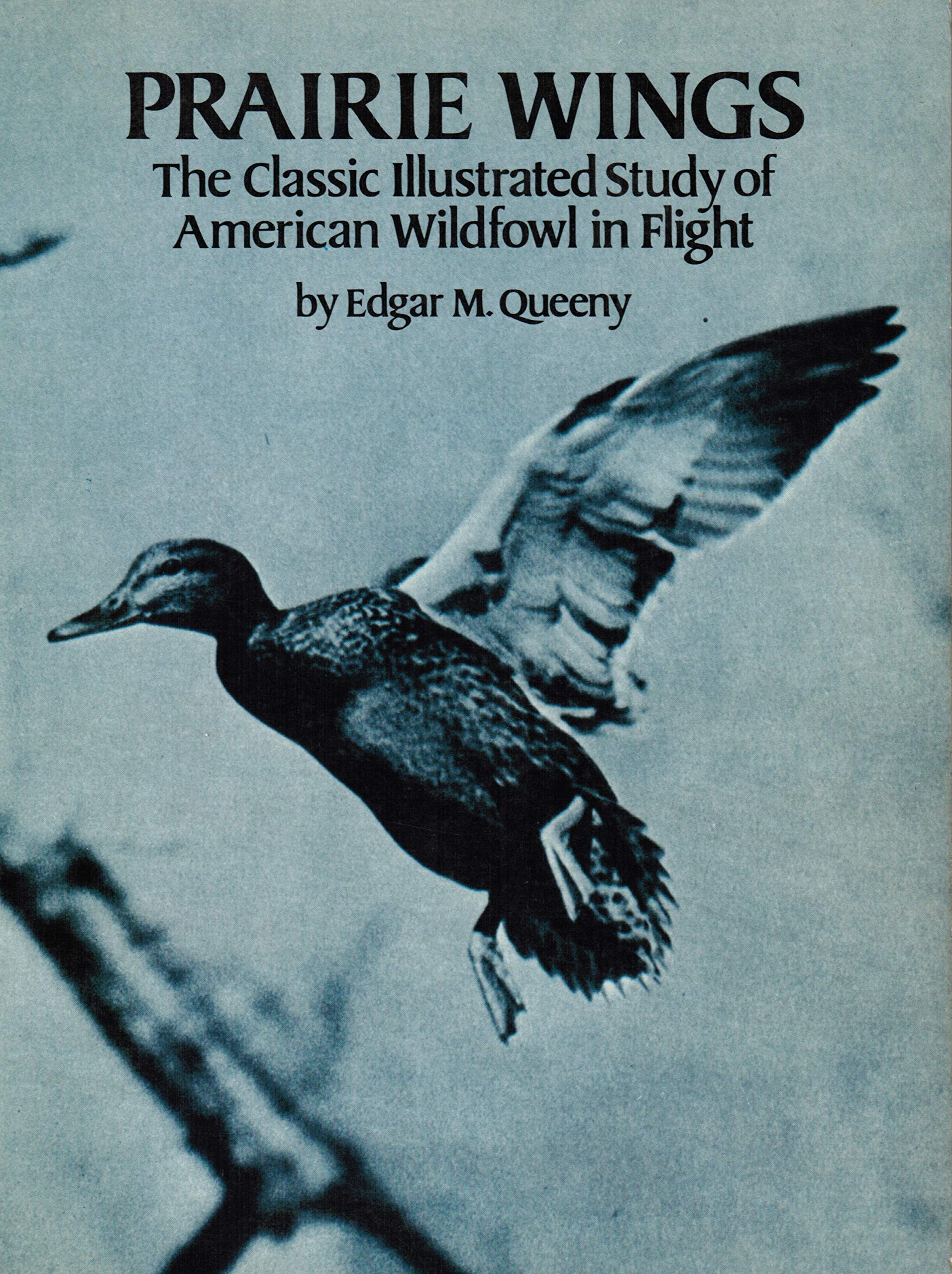 Prairie Wings: The Classic Illustrated Study of American Wildfowl in Flight,Used