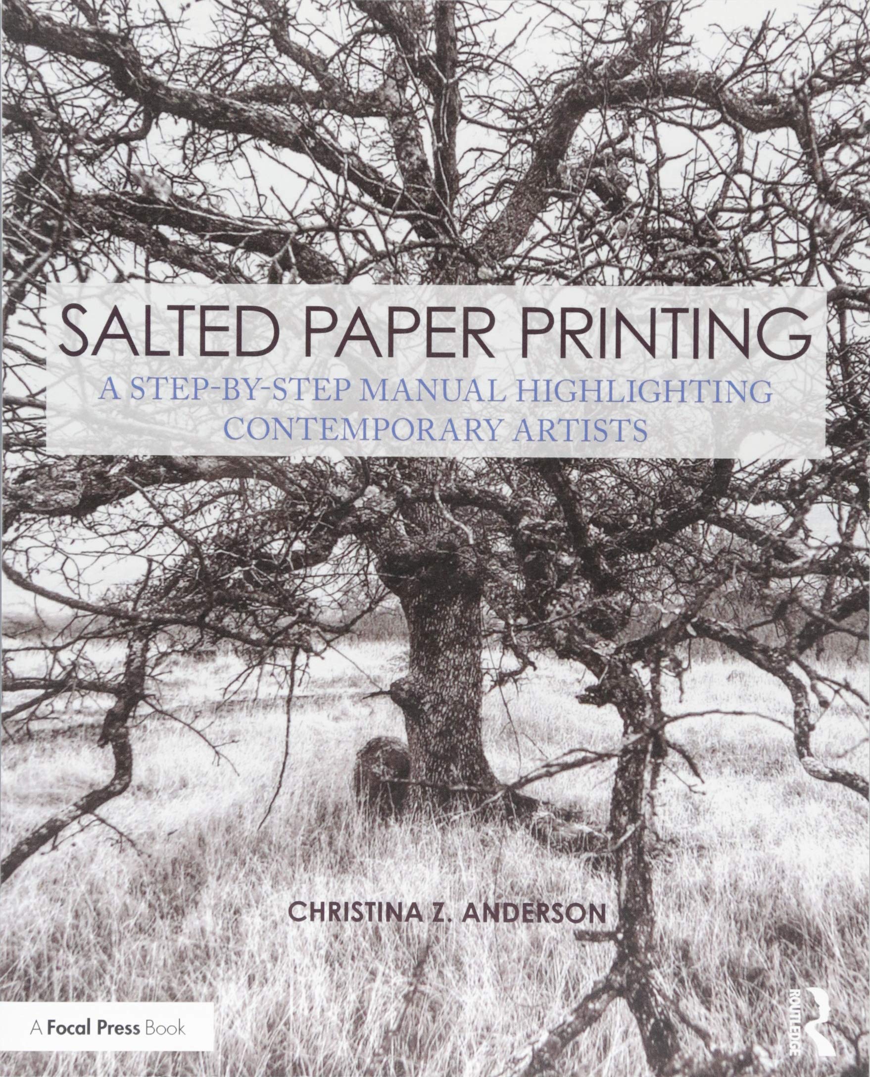 Salted Paper Printing: A StepbyStep Manual Highlighting Contemporary Artists (Contemporary Practices in Alternative Process Ph,Used