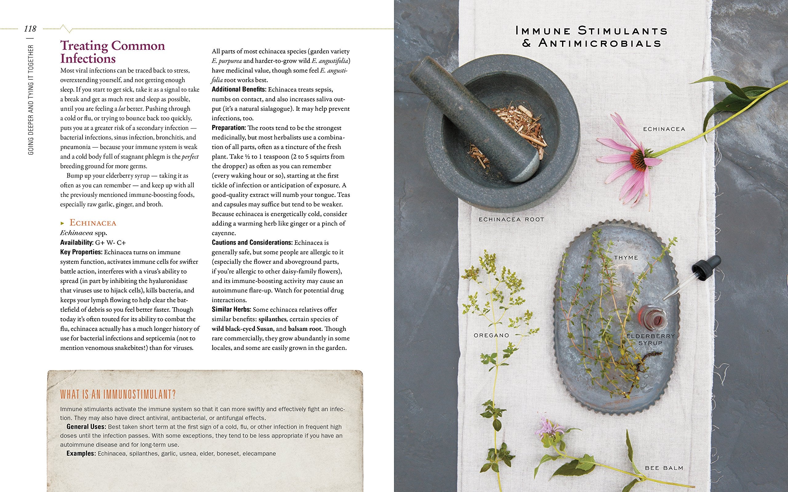 Body Into Balance: An Herbal Guide To Holistic Selfcare