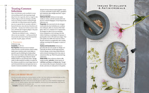 Body Into Balance: An Herbal Guide To Holistic Selfcare