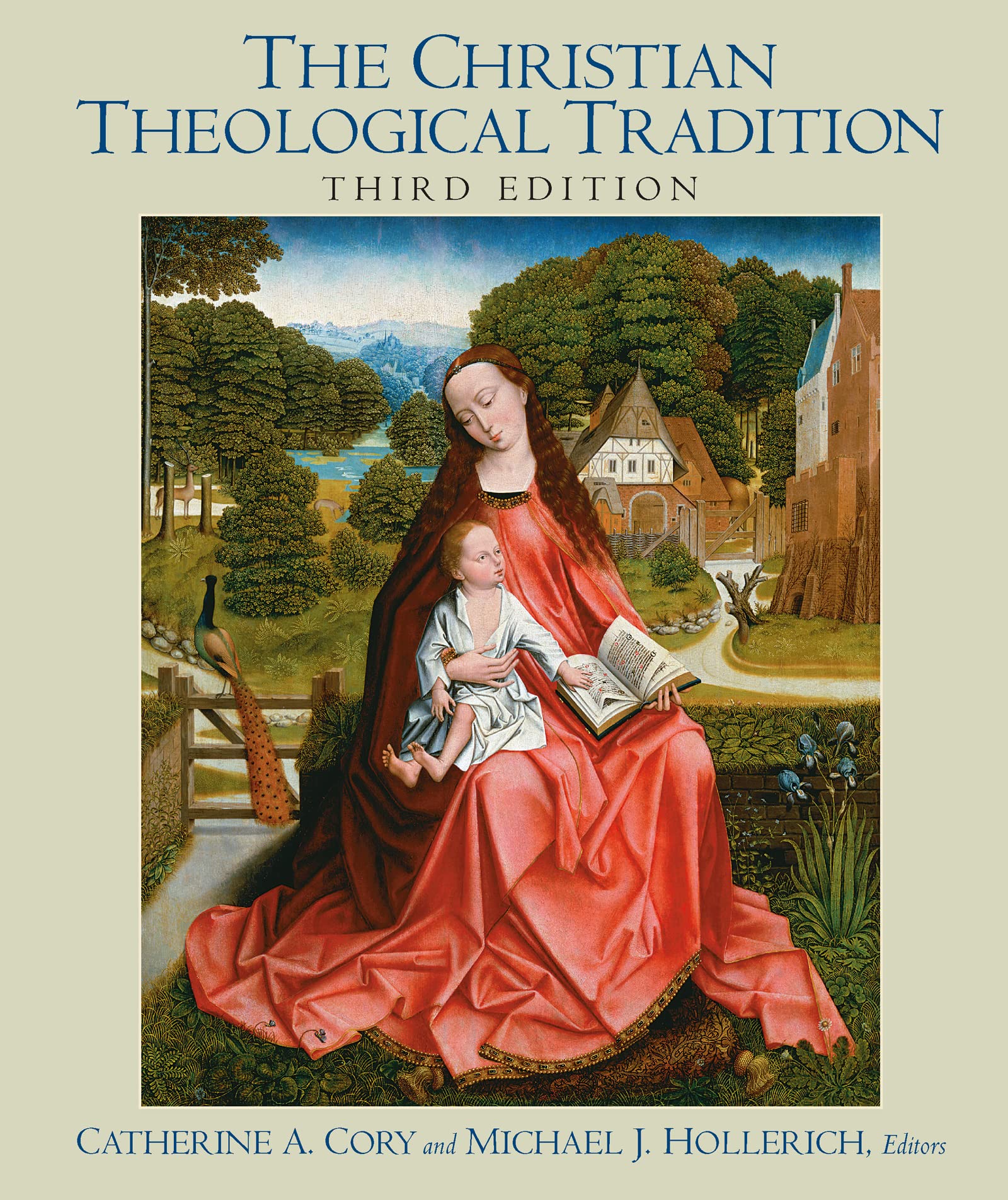 The Christian Theological Tradition, 3rd Edition,Used