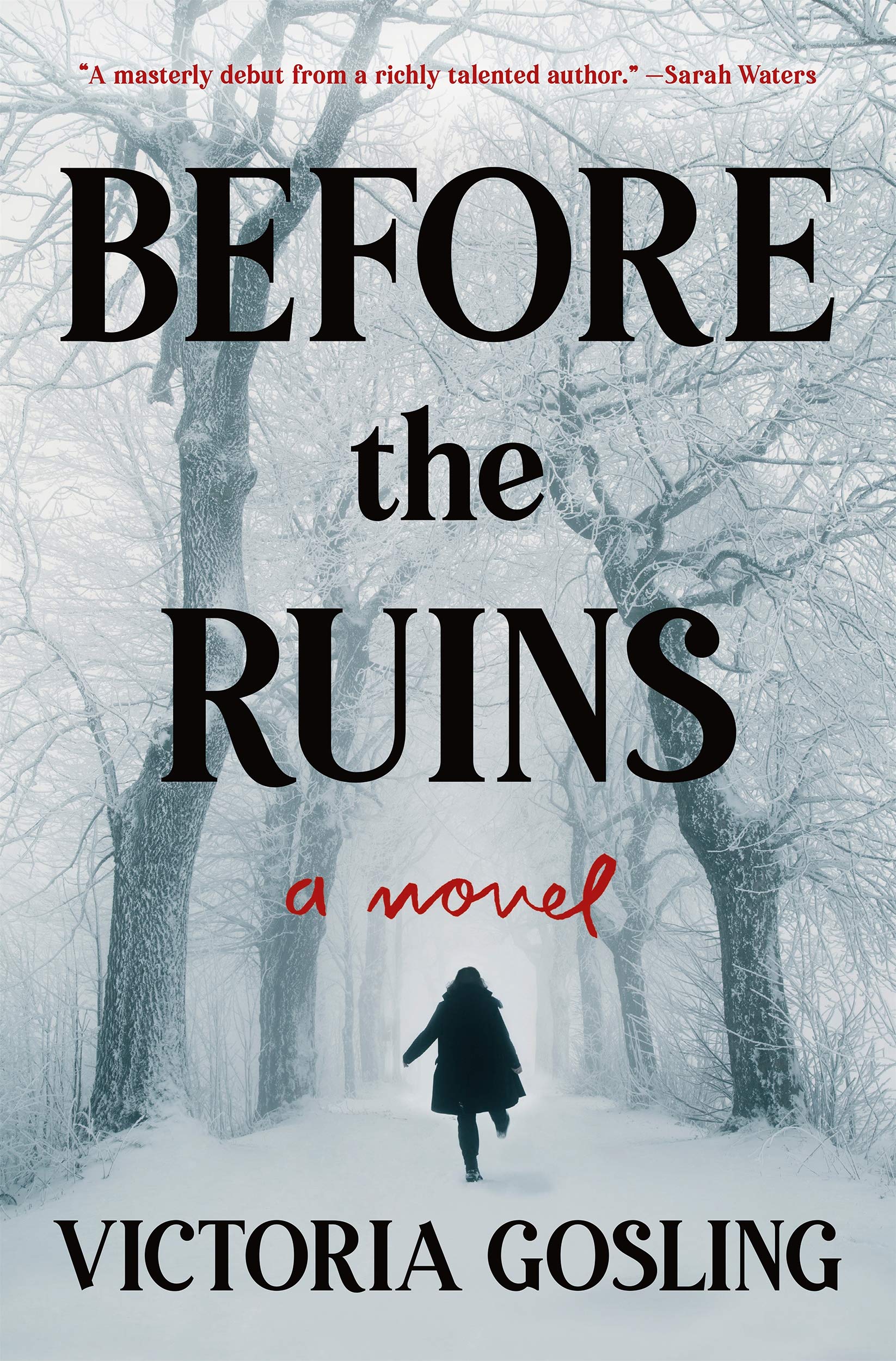 Before the Ruins: A Novel,Used