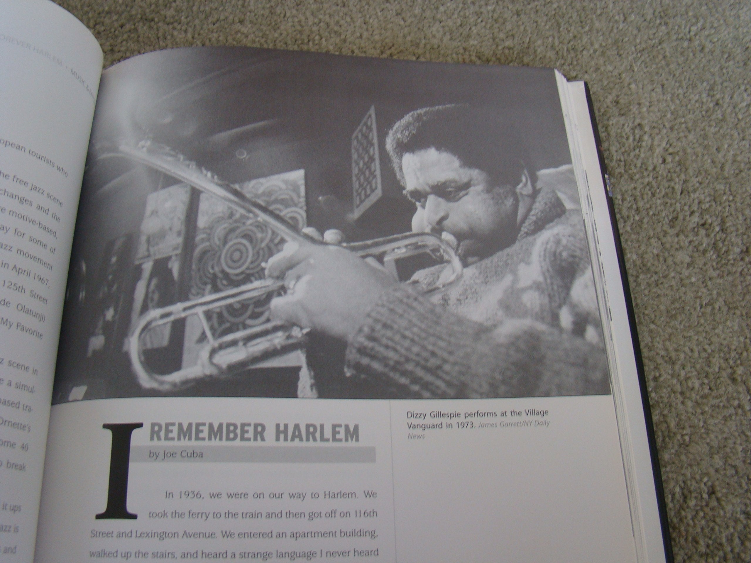 Forever Harlem: Celebrating America's Most Diverse Community,Used