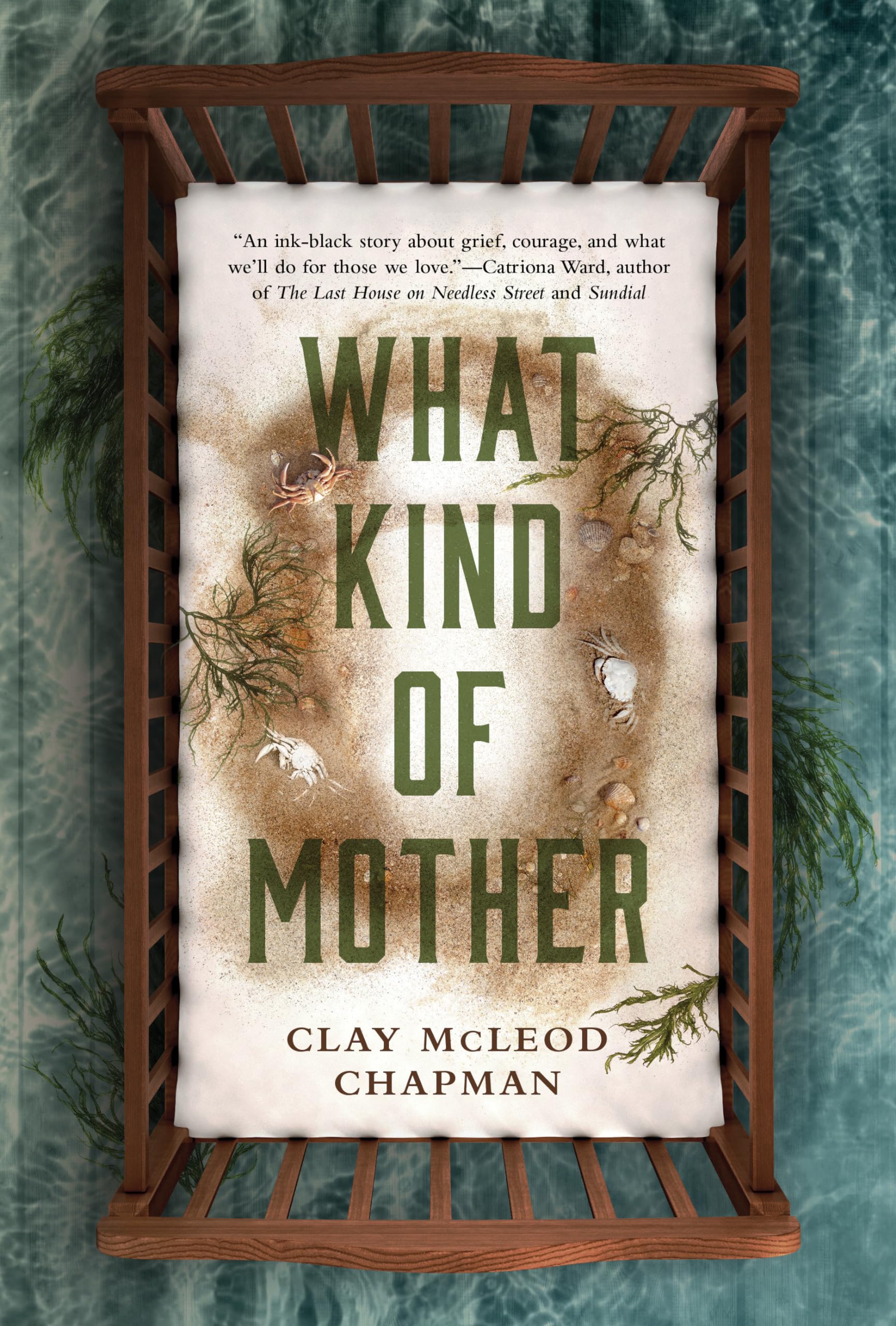 What Kind Of Mother: A Novel,Used