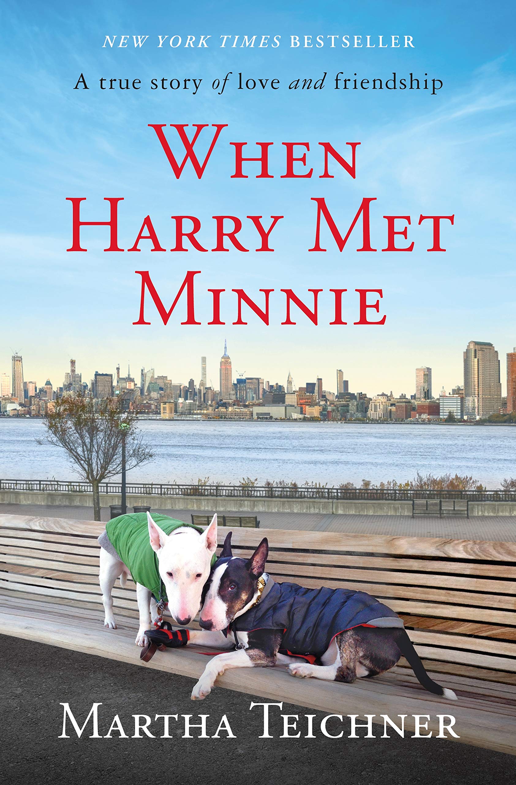 When Harry Met Minnie: A True Story Of Love And Friendship