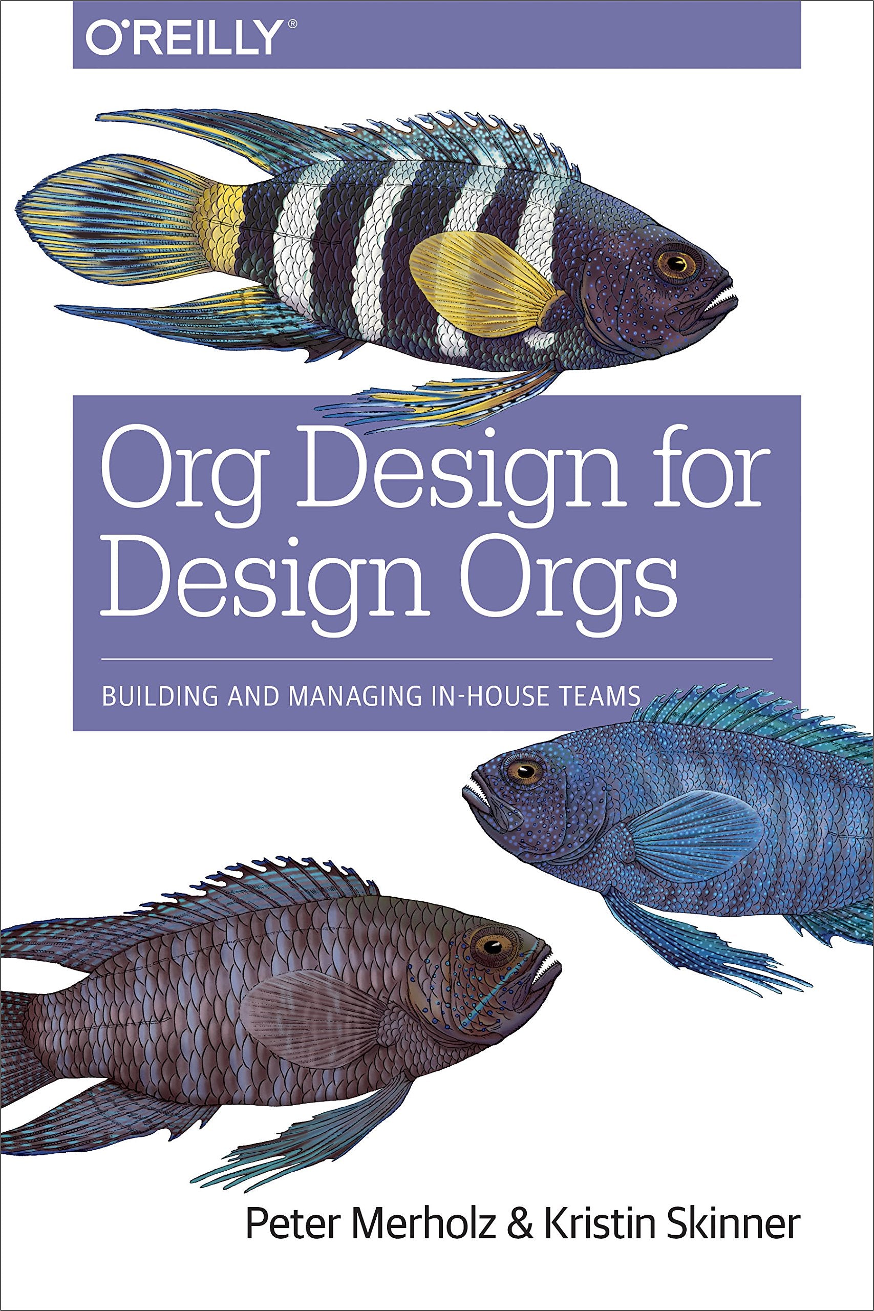 Org Design for Design Orgs: Building and Managing InHouse Design Teams