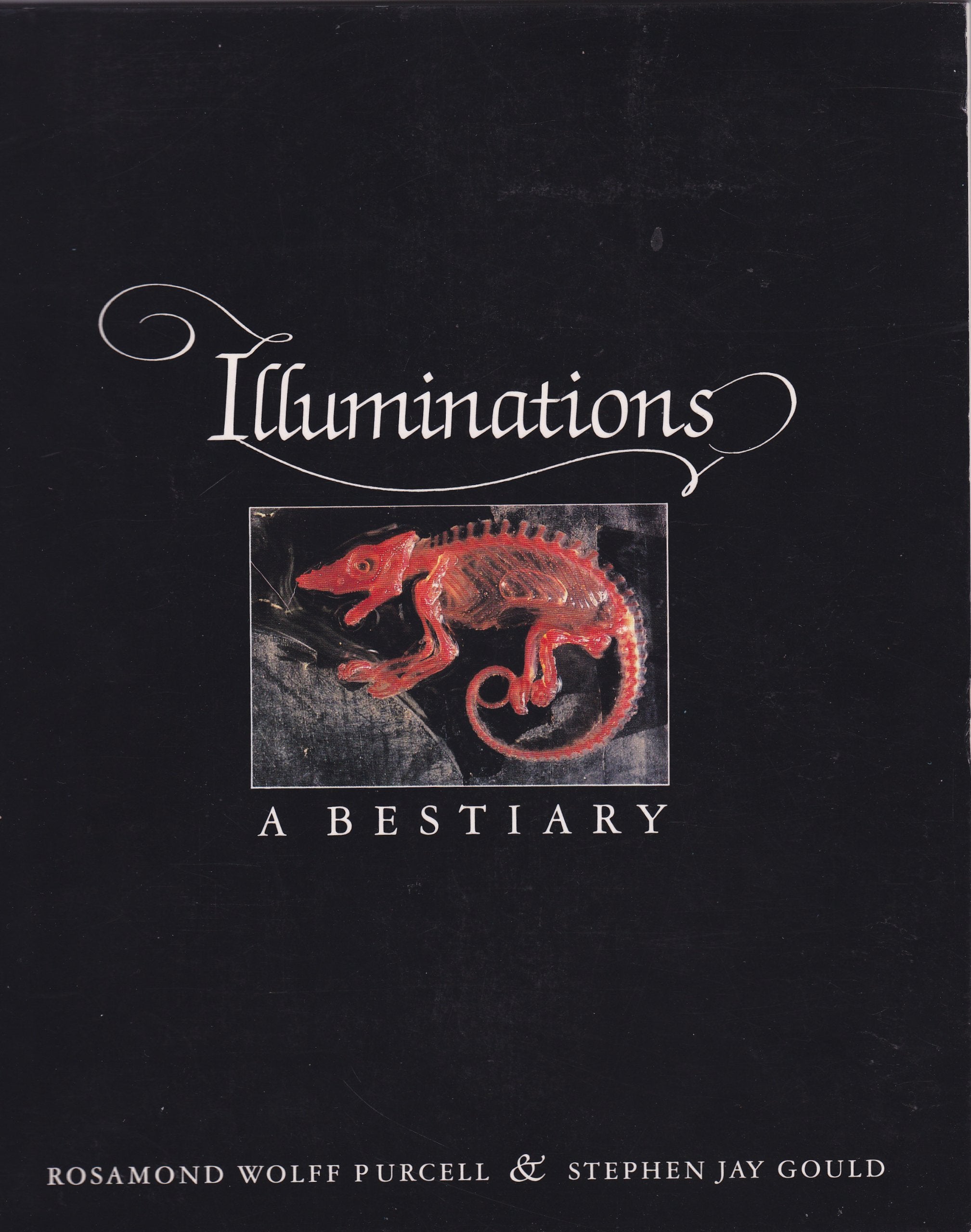 Illuminations: A Bestiary,New