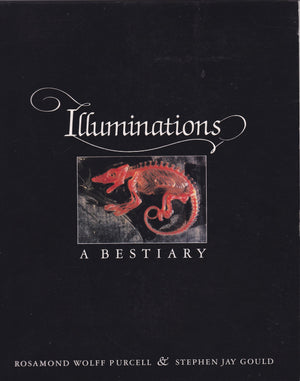 Illuminations: A Bestiary,New