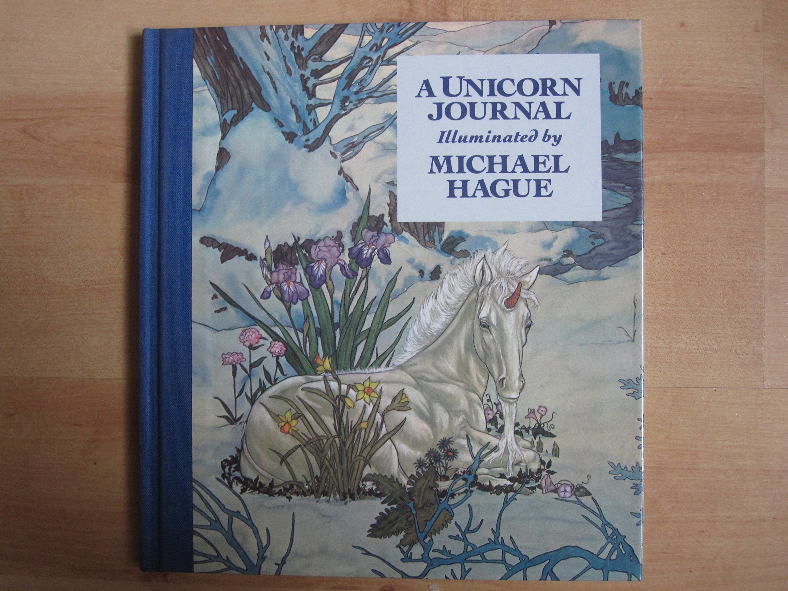 A Unicorn Journal,Used