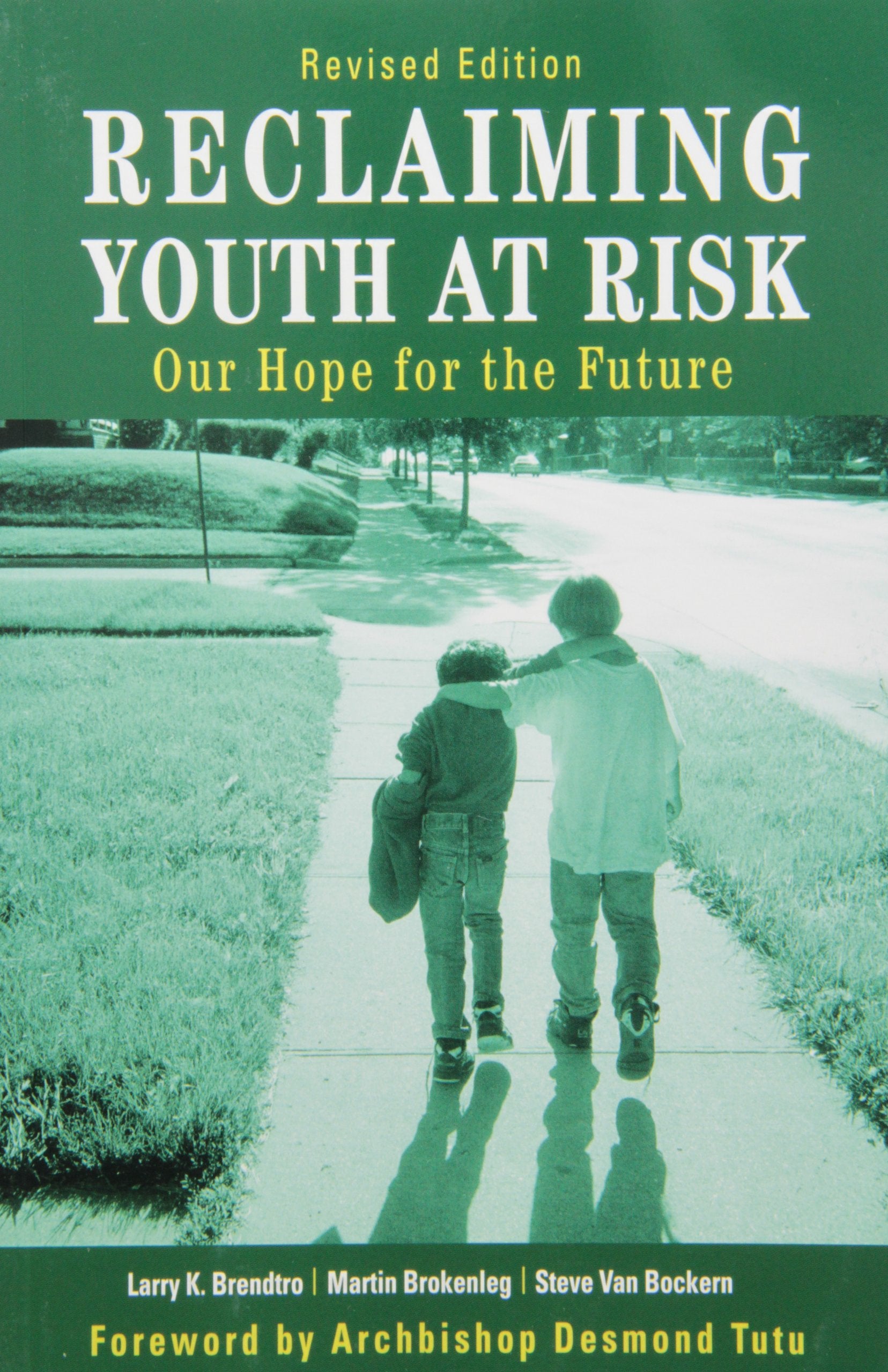Reclaiming Youth at Risk: Our Hope for the Future,Used
