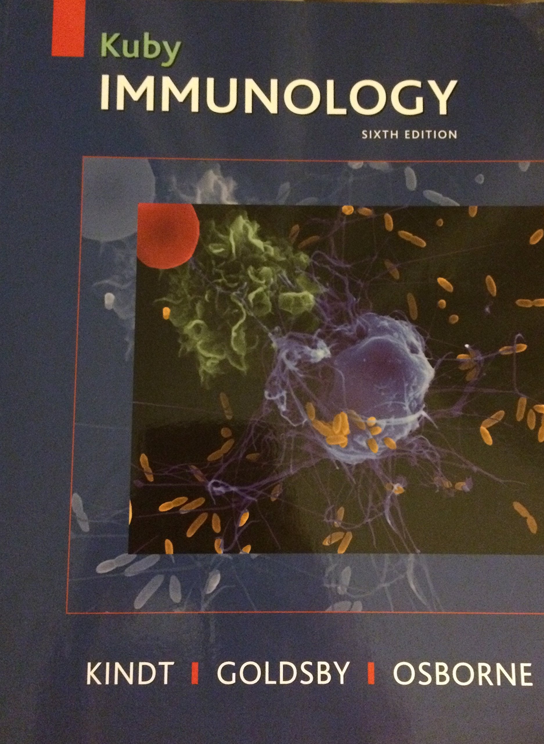 Kuby Immunology, Sixth Edition,Used