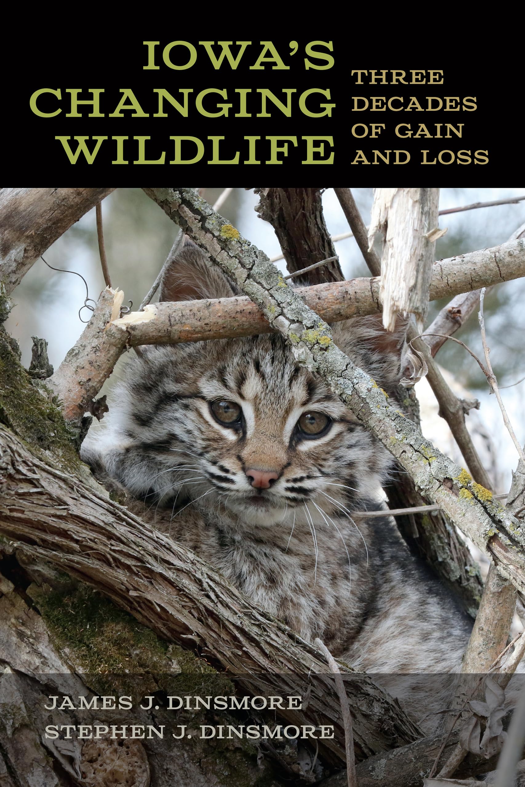 Iowa'S Changing Wildlife: Three Decades Of Gain And Loss (Bur Oak Book),Used