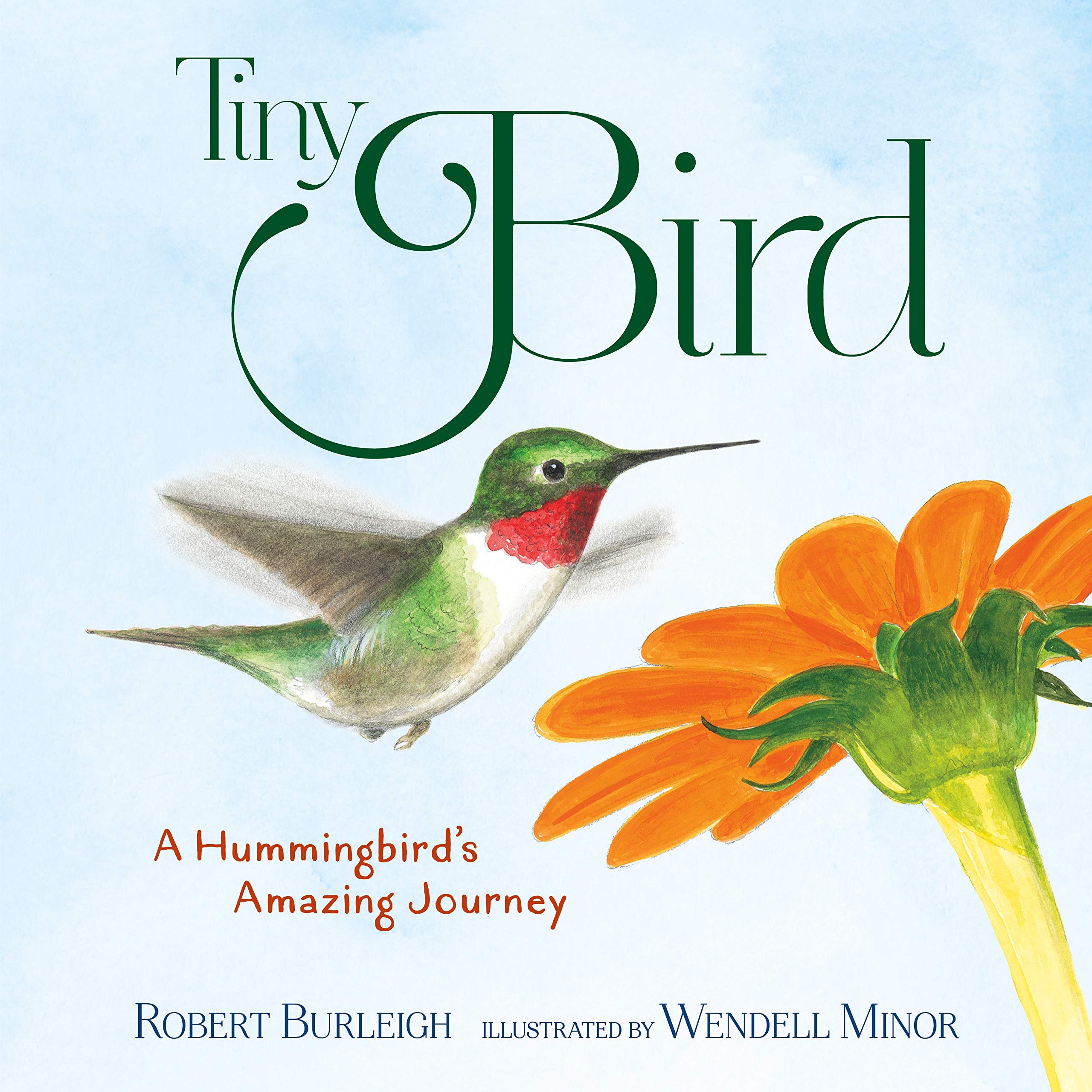 Tiny Bird: A Hummingbird'S Amazing Journey,Used