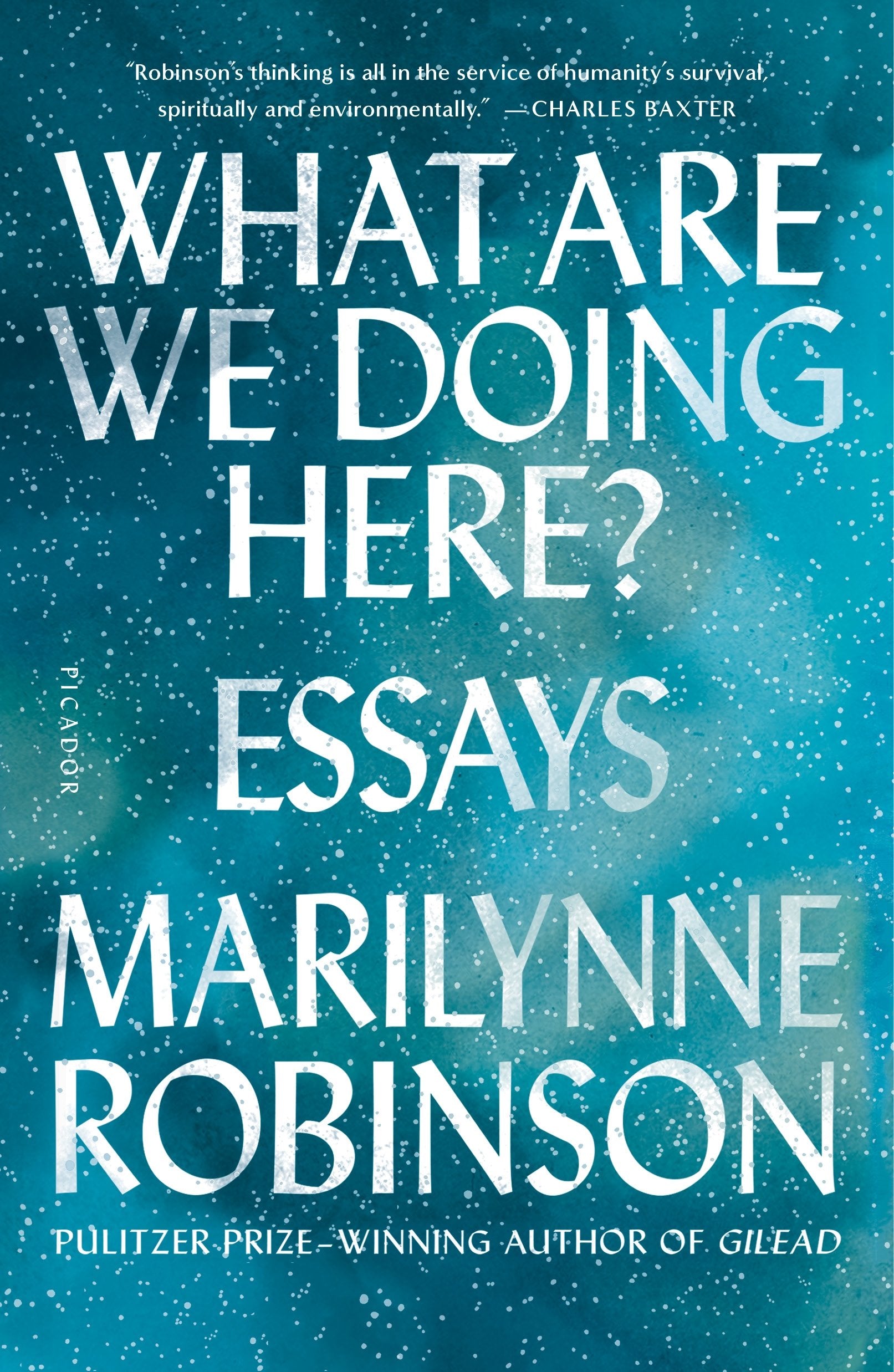 What Are We Doing Here?: Essays,Used