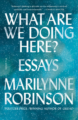 What Are We Doing Here?: Essays,Used