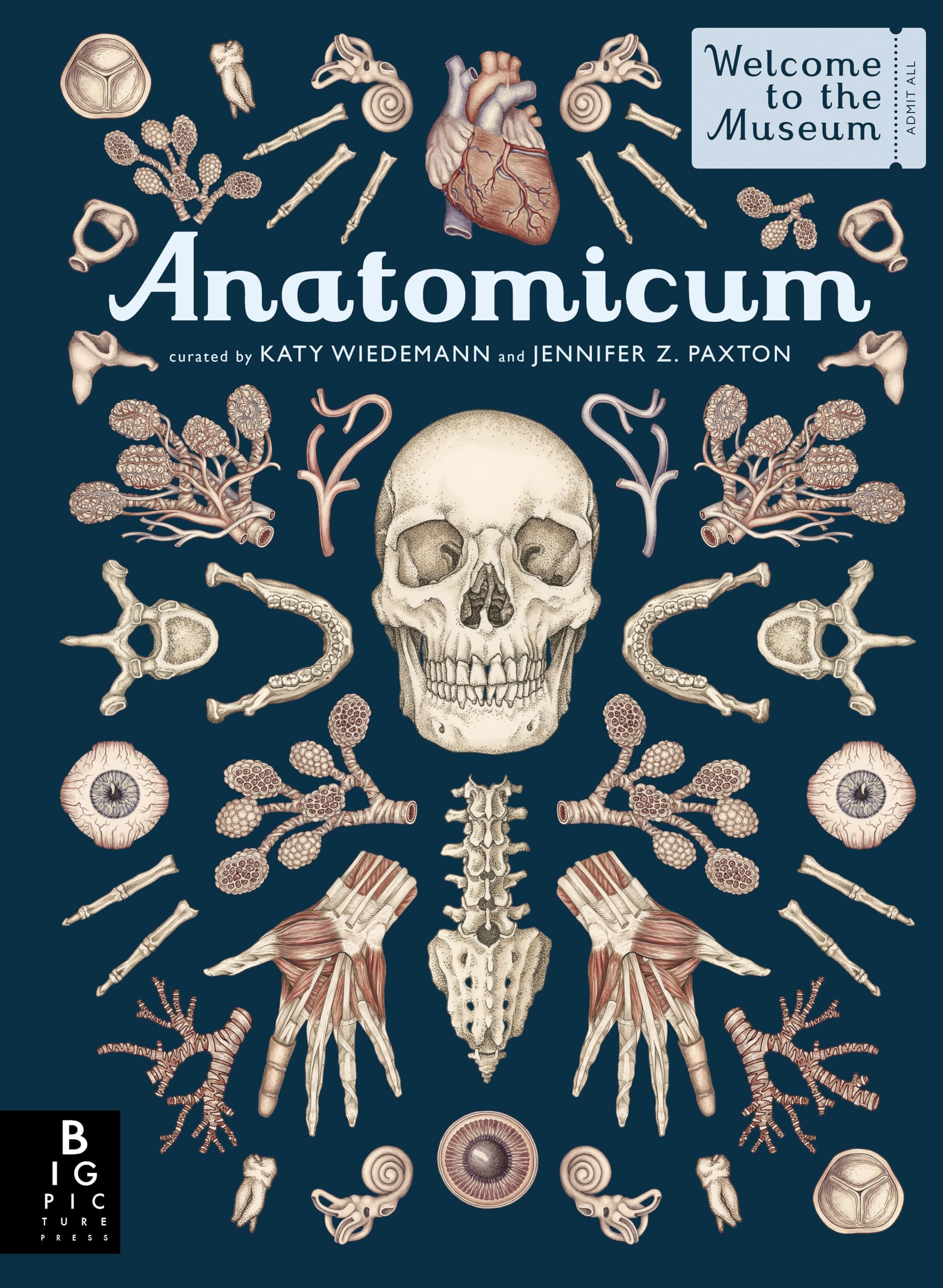 Anatomicum: Welcome To The Museum