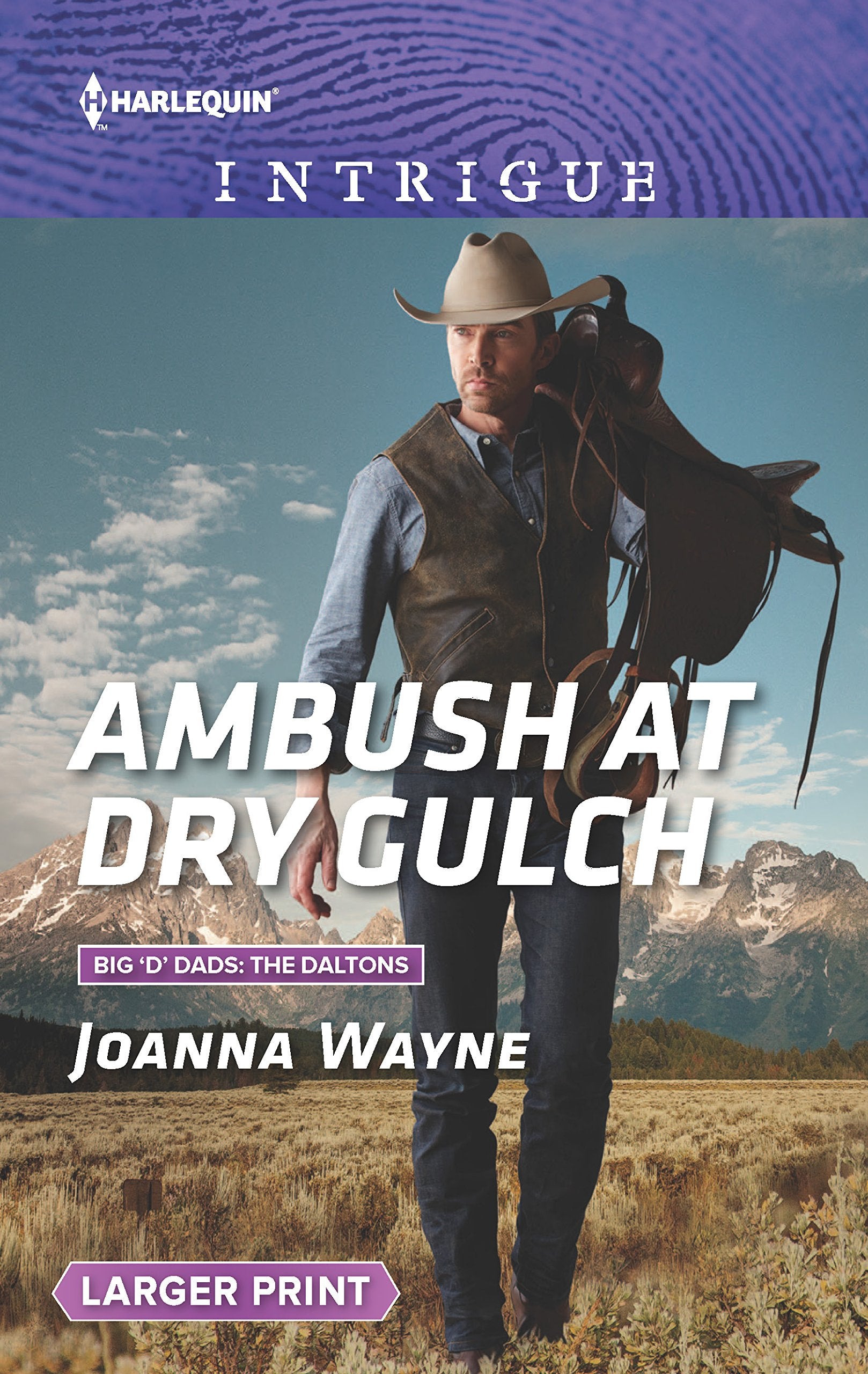 Ambush at Dry Gulch (Big 'D' Dads: The Daltons, 8),Used