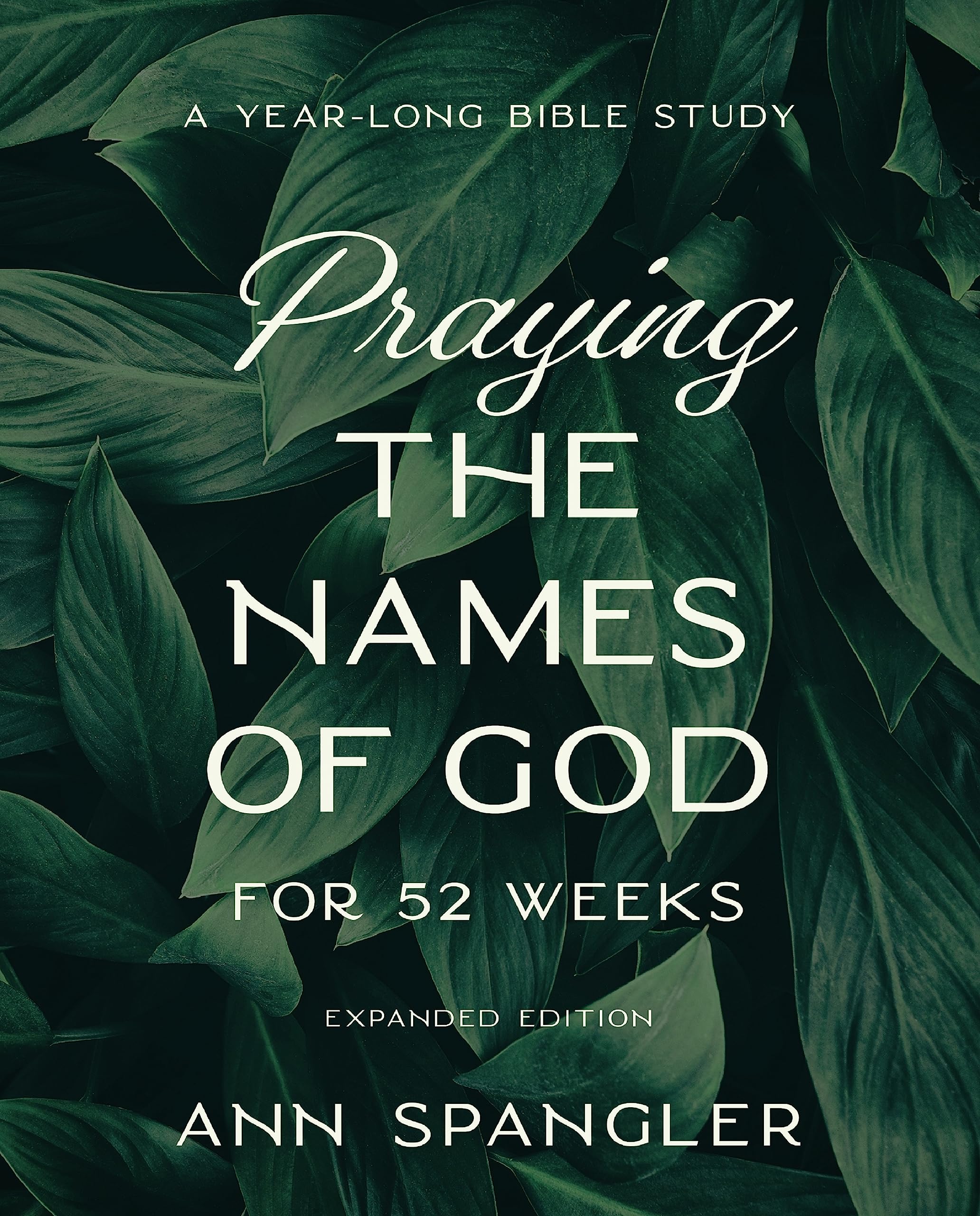 Praying the Names of God for 52 Weeks, Expanded Edition: A YearLong Bible Study,Used