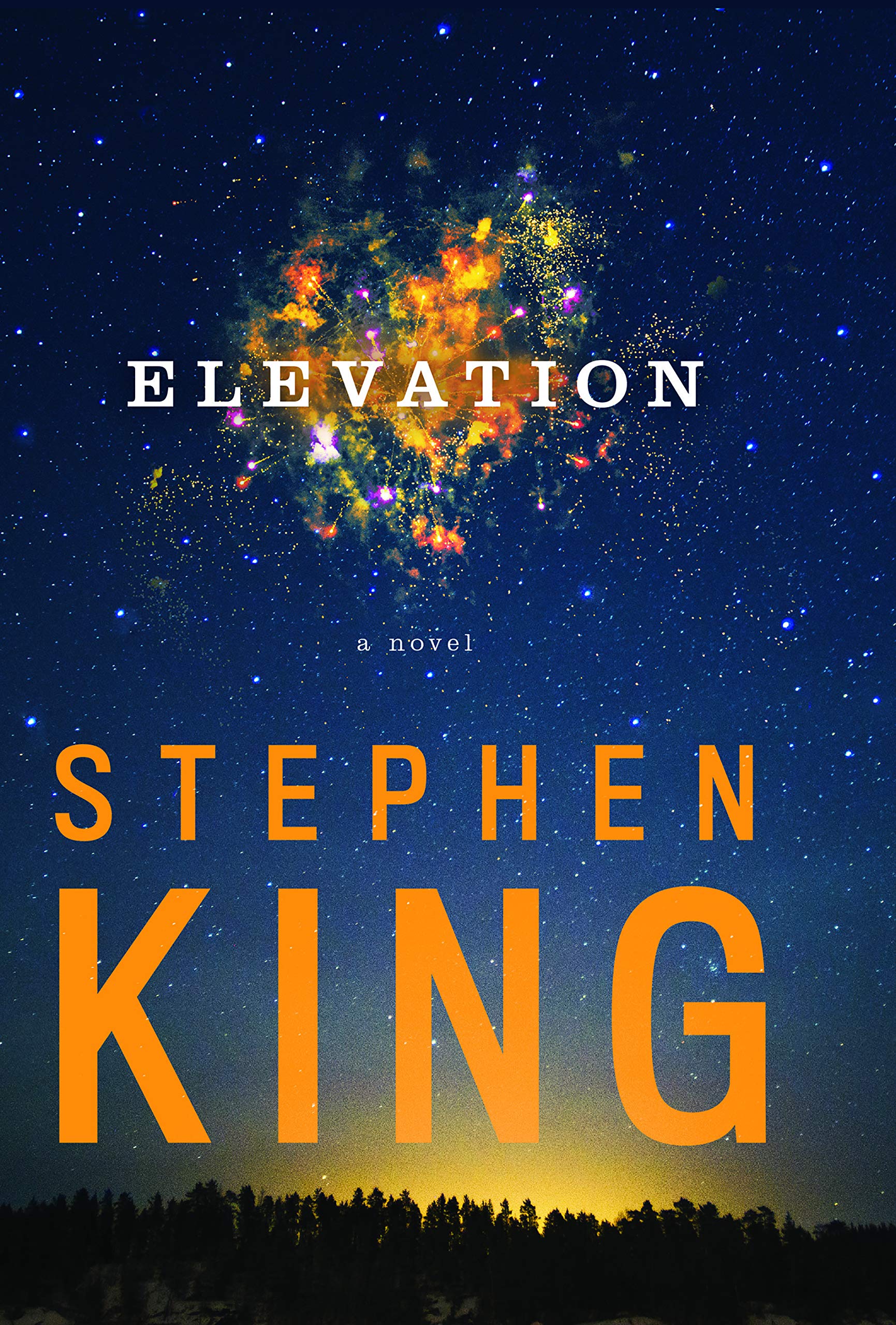 Elevation (Thorndike Press Large Print Core)
