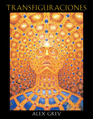 Transfiguraciones (Spanish Edition),Used