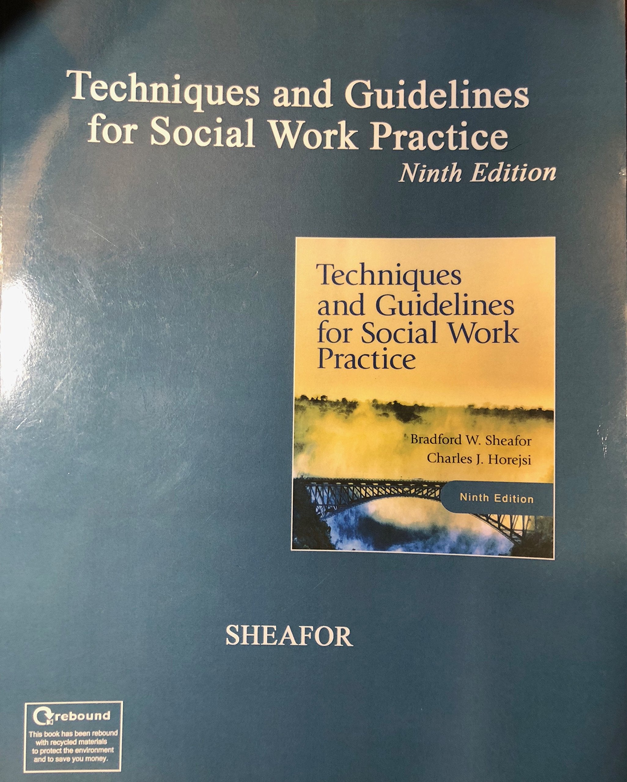 Techniques and Guidelines for Social Work Practice,Used