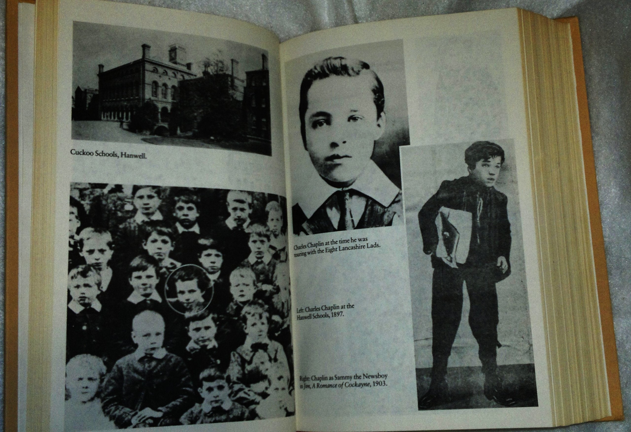 Chaplin: His Life And Art