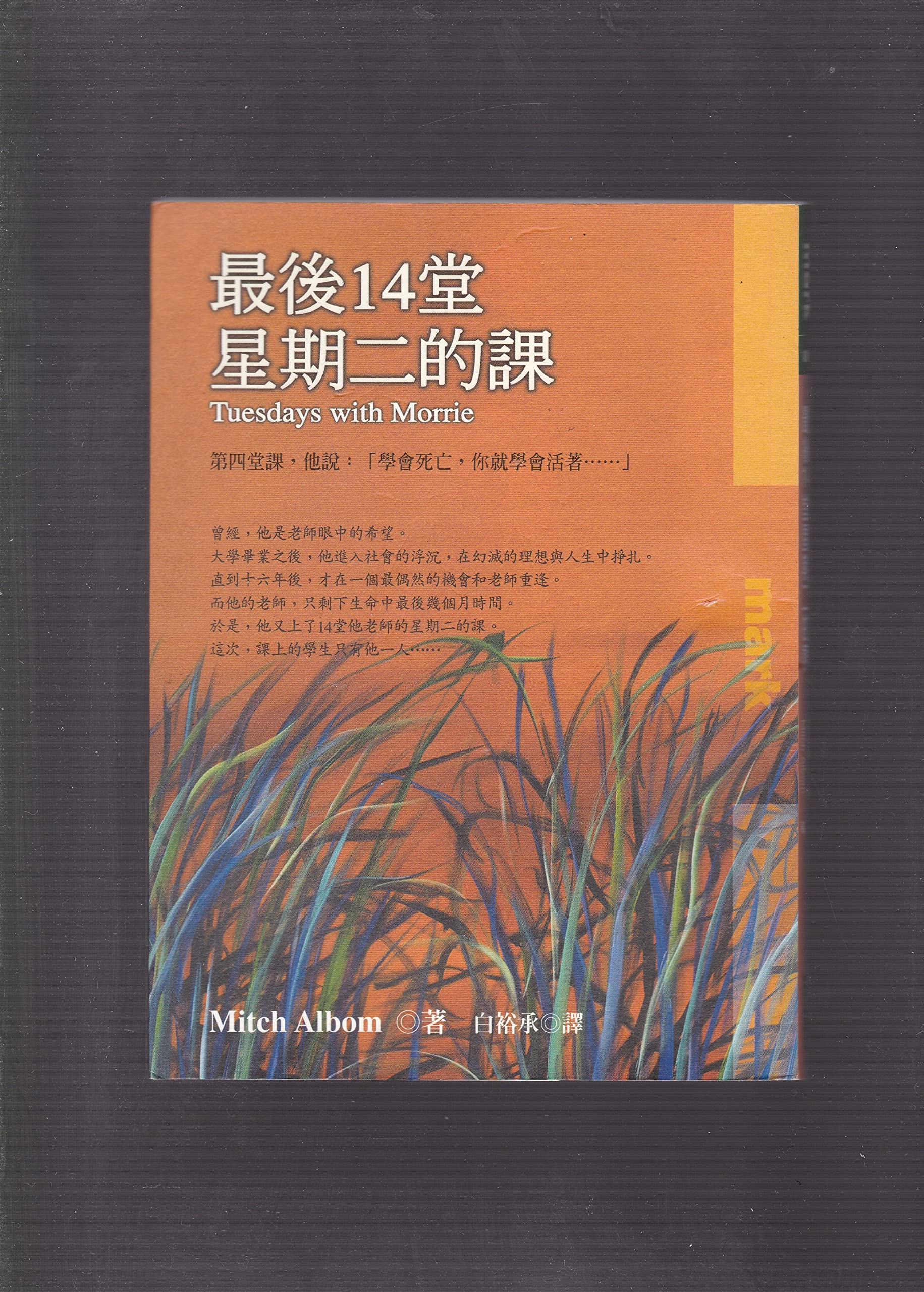 Tuesdays With Morrie (Chinese Edition),Used