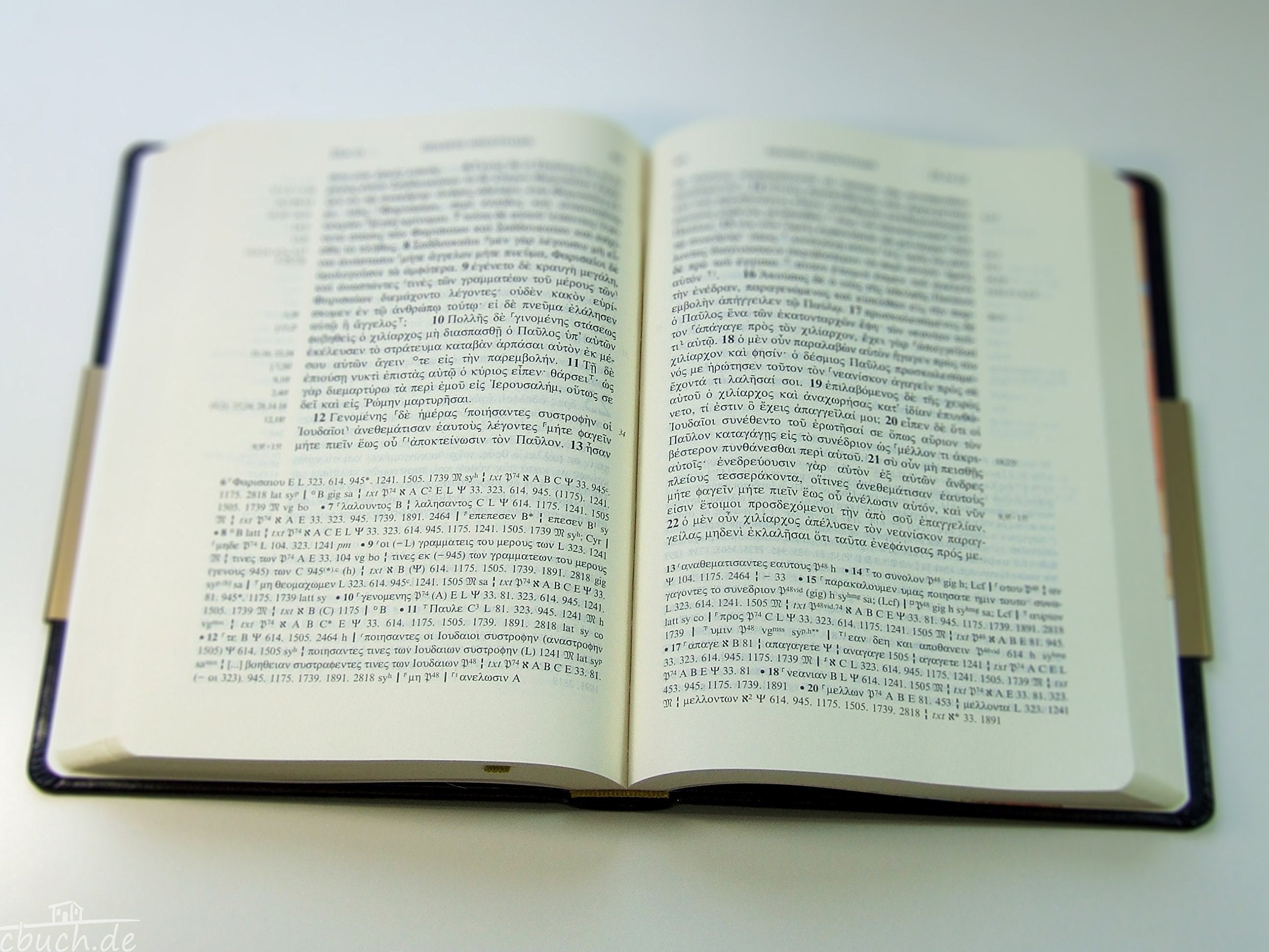 Holy Bible: Nestle Aland 28Th Revised Ed Of The Greek New Testament, Flexisoft Edtion, Black, Imitation Leather