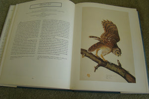 John James Audubon: The Watercolors for the Birds of America,New