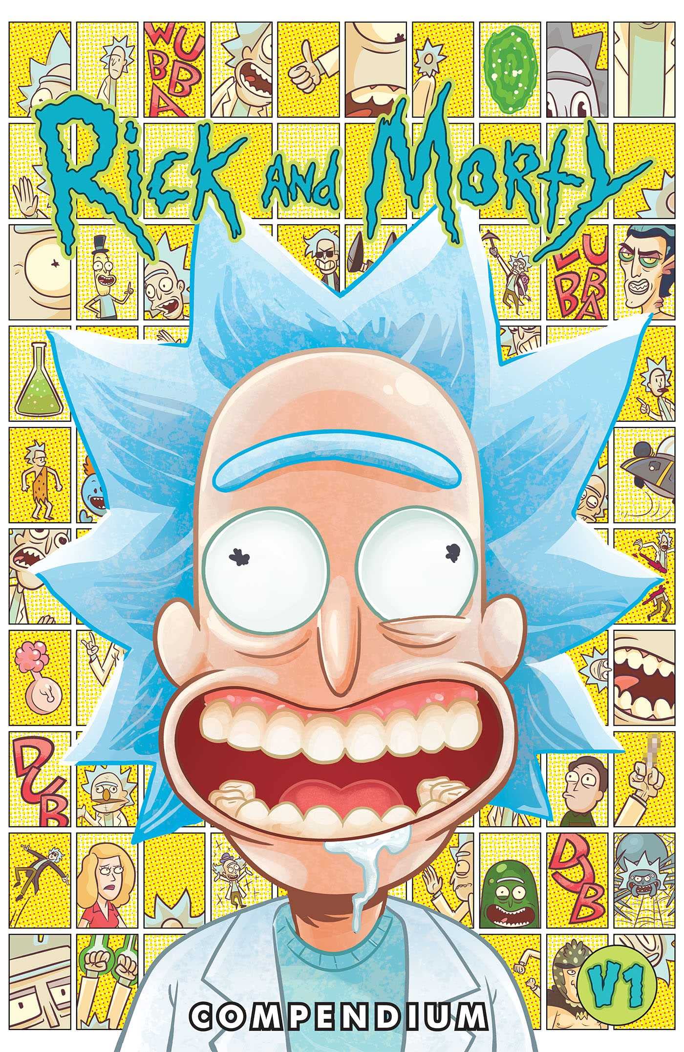 Rick And Morty Compendium Vol. 1 (1) (Rick And Morty: Compendium, 13),Used