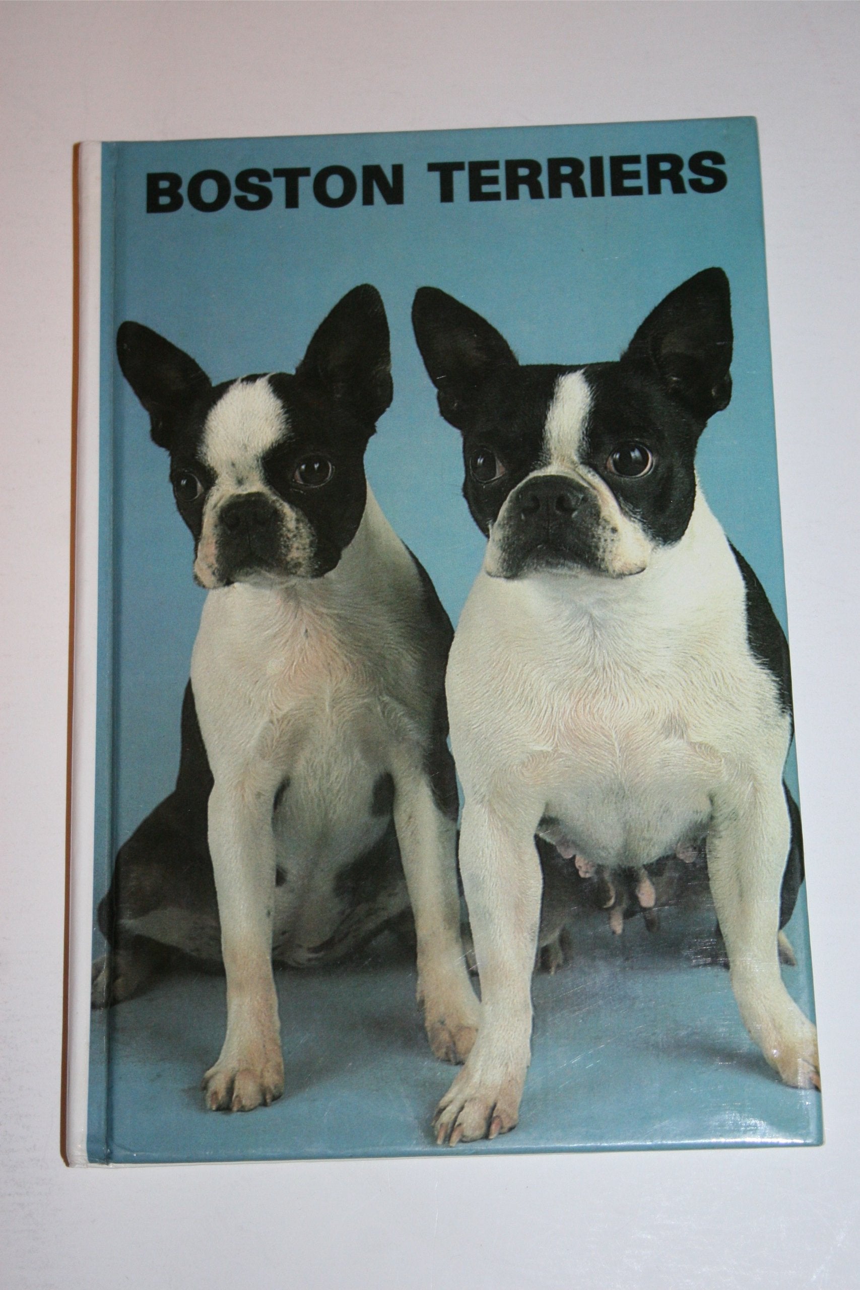 Boston Terriers (Kw105),Used