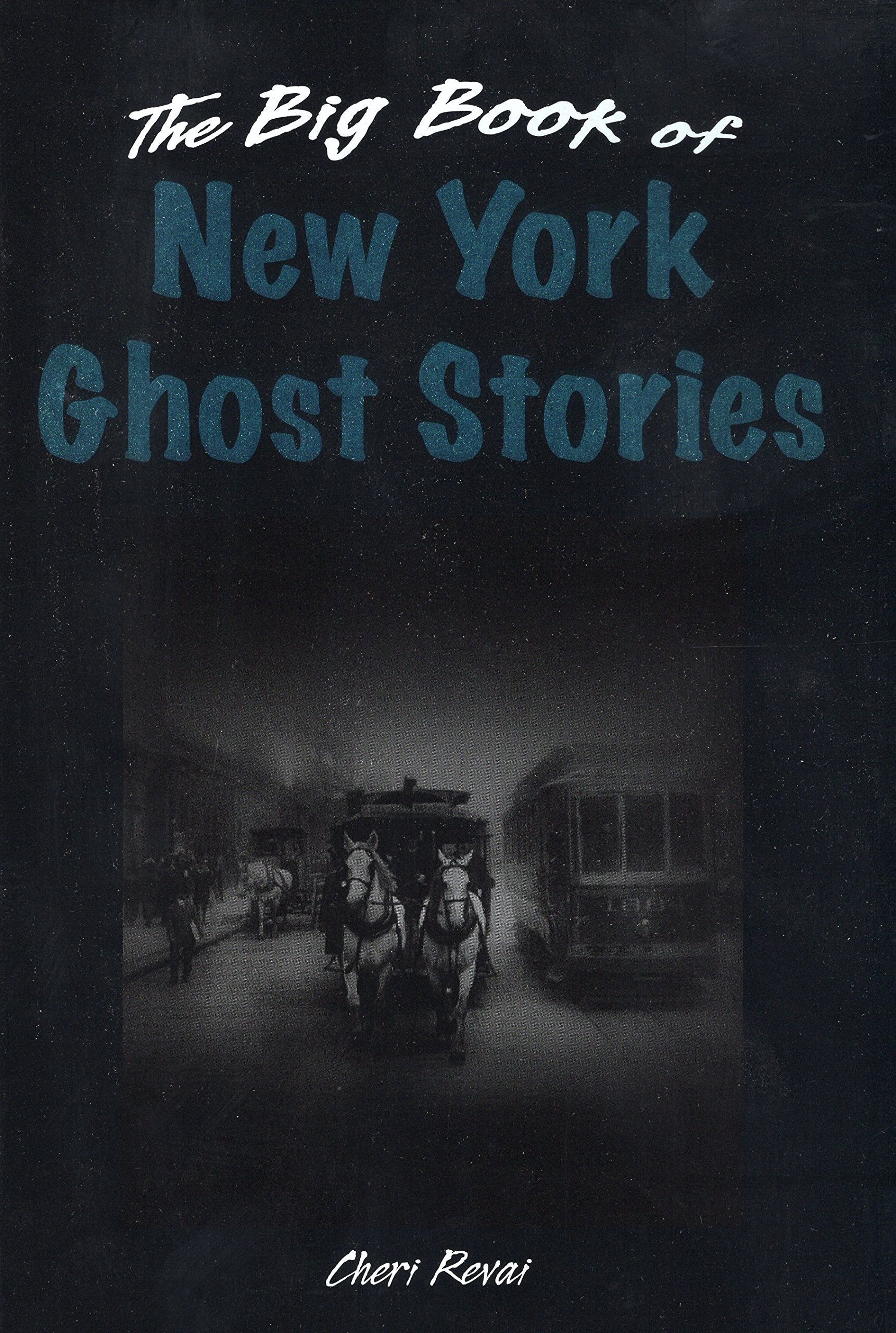 The Big Book Of New York Ghost Stories (Big Book Of Ghost Stories),Used