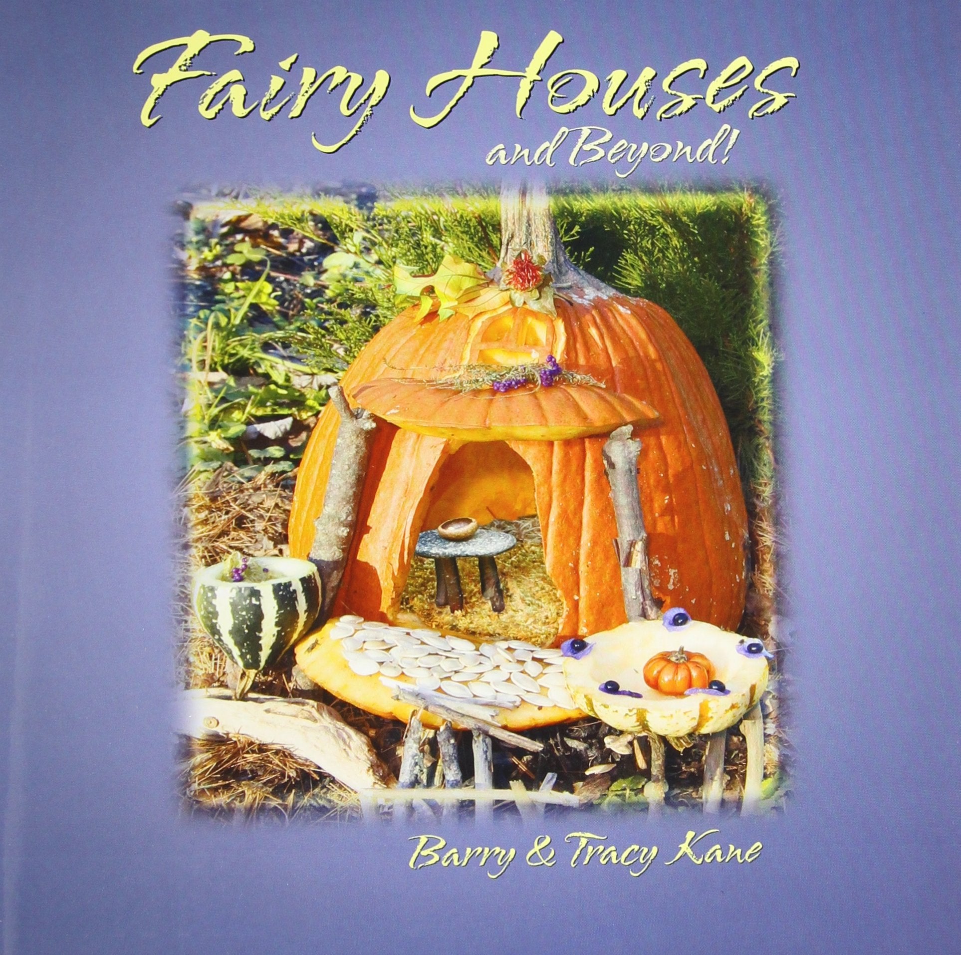 Fairy Houses and Beyond! (The Fairy Houses Series),Used