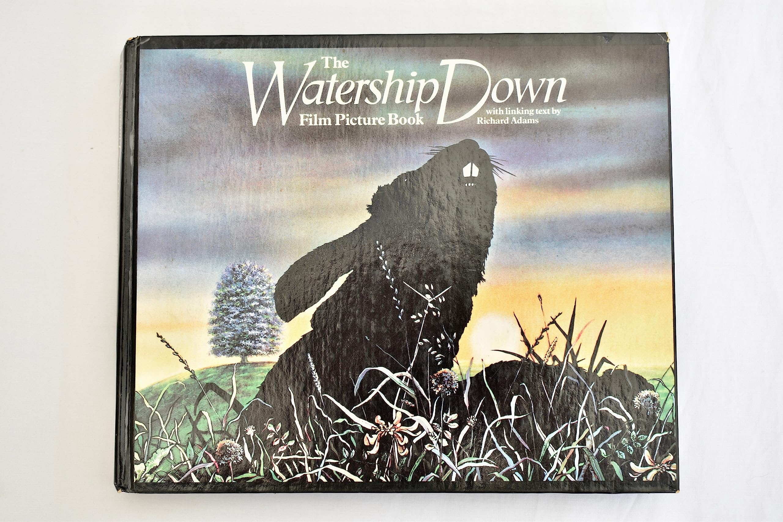 The Watership Down Film Picture Book: With Linking Text by Richard Adams,Used
