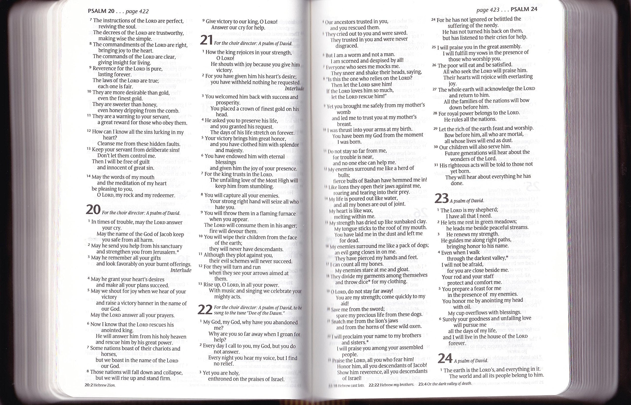 Compact Gift Bible Nlt (Bonded Leather, Burgundy/Maroon)